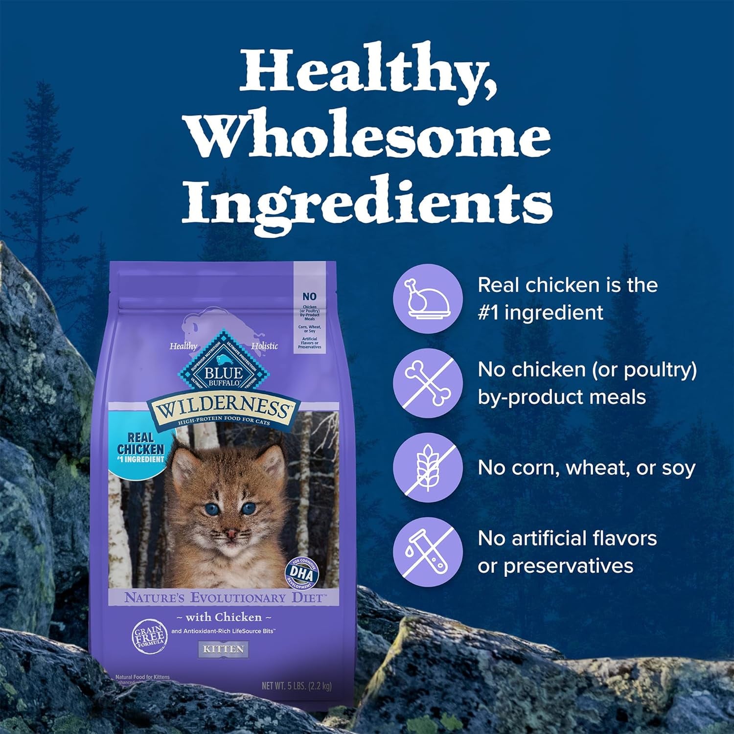 Blue Buffalo Wilderness Natural Kitten Dry Cat Food, with DHA and ARA to Support Brain and Eye Development, High-Protein and Grain-Free Diet, Chicken, 5-Lb. Bag