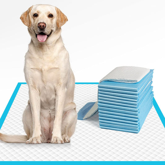 Dog Pee Pads Extra Large 28"X34", X-Large Training Puppy Pee Pads Super Absorbent & Leak-Proof, XL Disposable Pet Piddle Pad and Potty Pads for Dogs, Puppies, Doggie (Xlarge:28"*34"- 30 Ct)