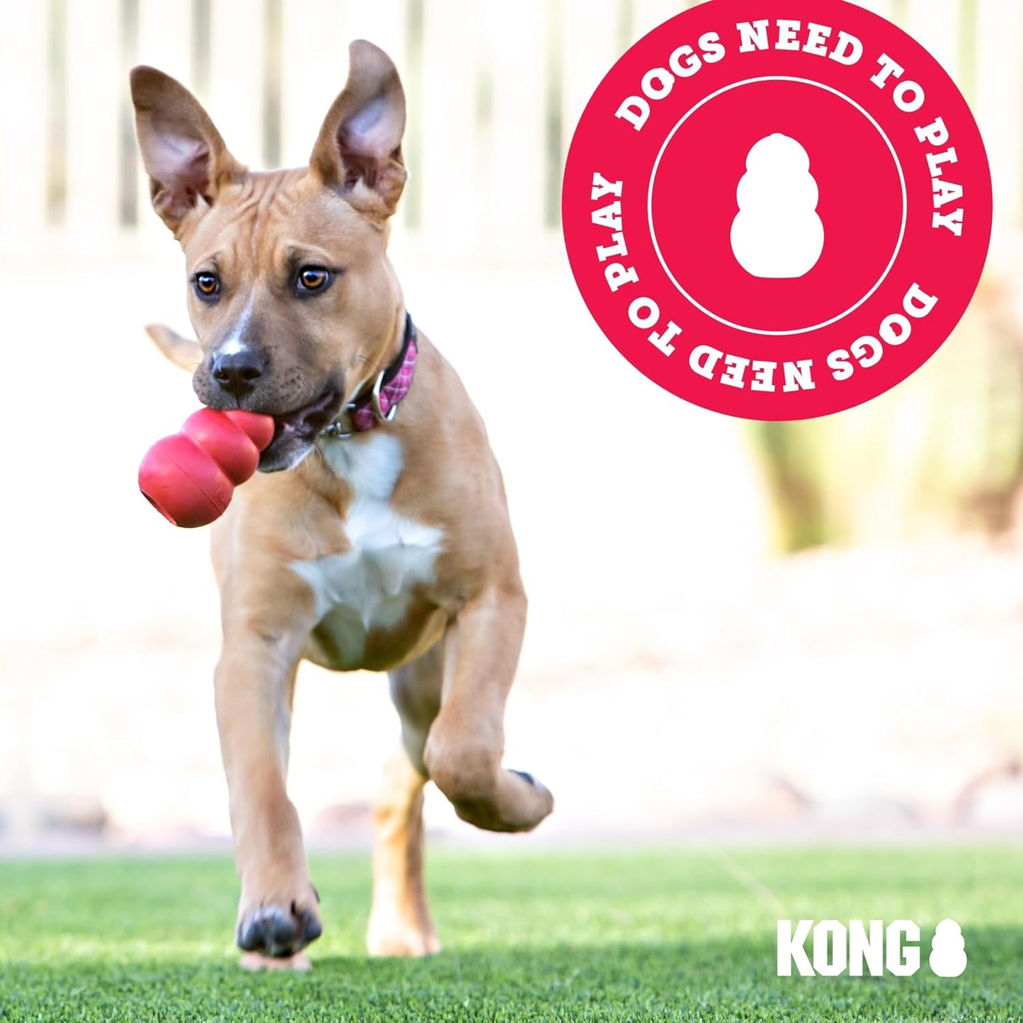 Ring - Natural Rubber Ring Toy for Healthy Chewing Habits - Chew Toy Supports Dog Dental Health - Dog Toy Supports Instincts during Playtime - for Small/Medium Dogs