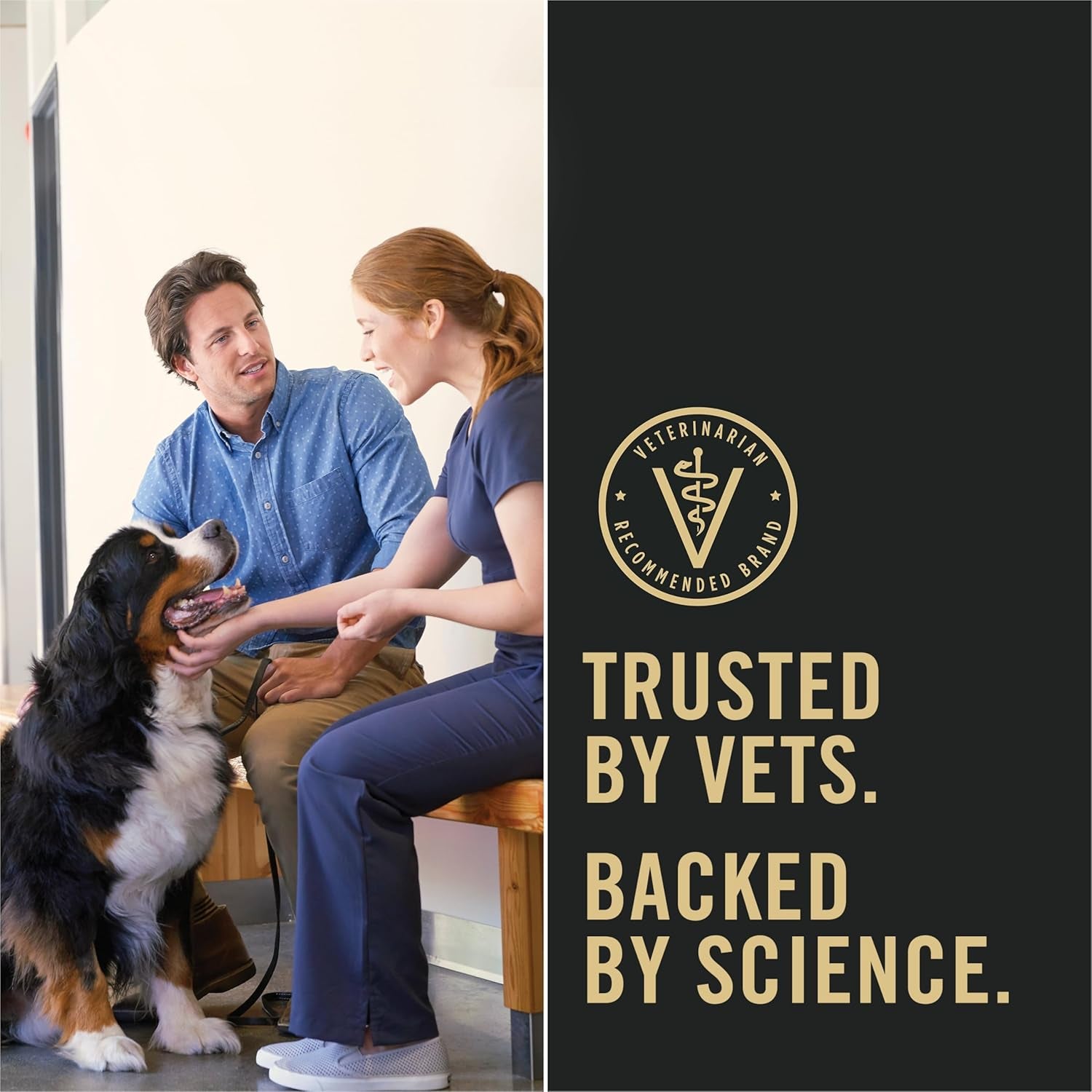 Sensitive Skin and Sensitive Stomach Dog Food Lamb and Oat Meal Formula - 16 Lb. Bag