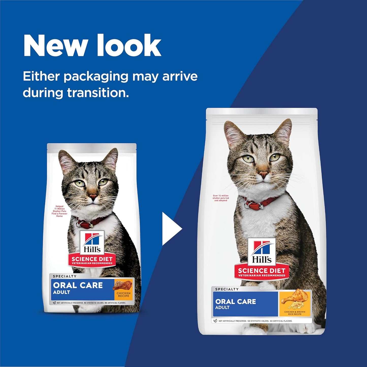 Oral Care, Adult 1-6, Plaque & Tartar Buildup Support, Dry Cat Food, Chicken Recipe, 3.5 Lb Bag