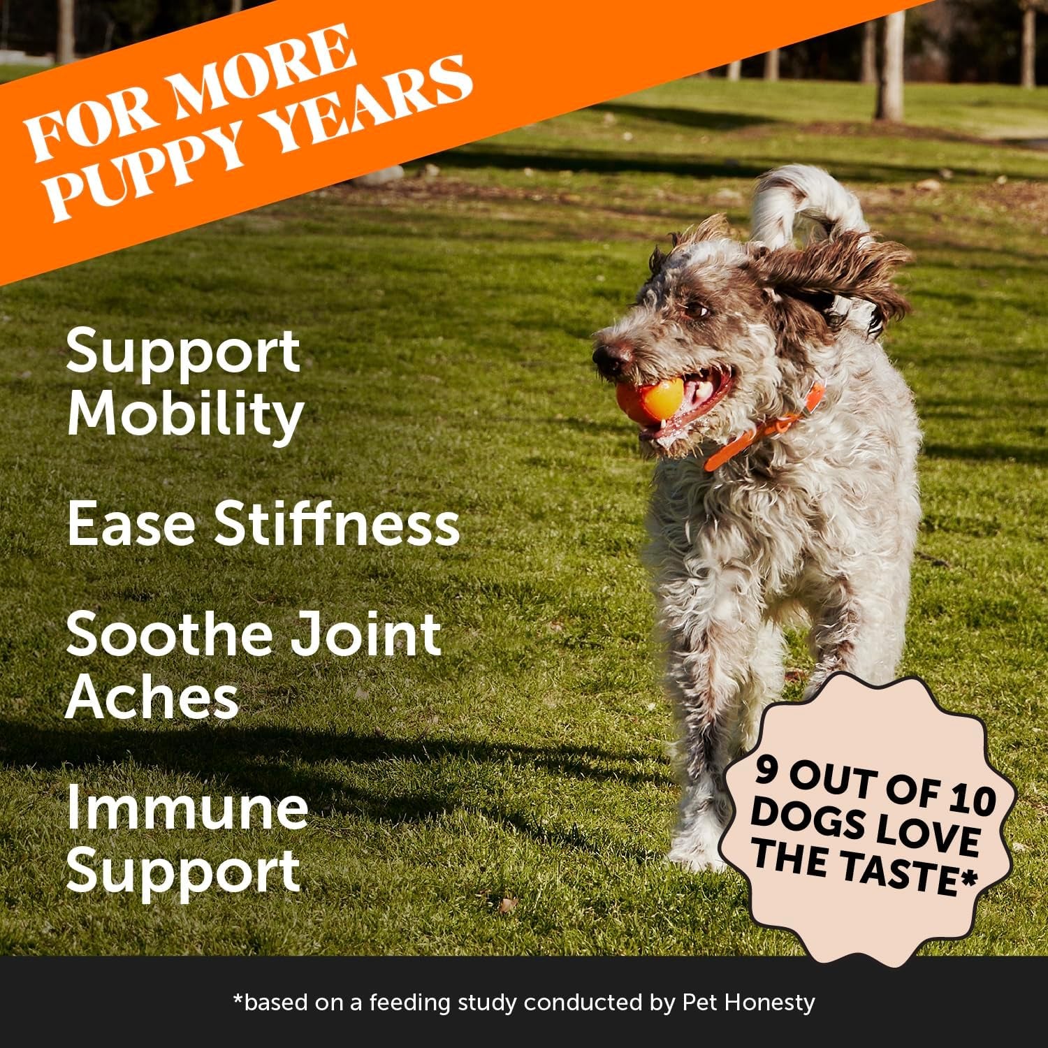 Hip & Joint Turmeric Health - Joint Supplement for Dogs, Omega-3 Fish Oil, Turmeric to Support Overall Health & Ease Stiffness - Advanced Pet Mobility Support - 90 Ct (Pumpkin)