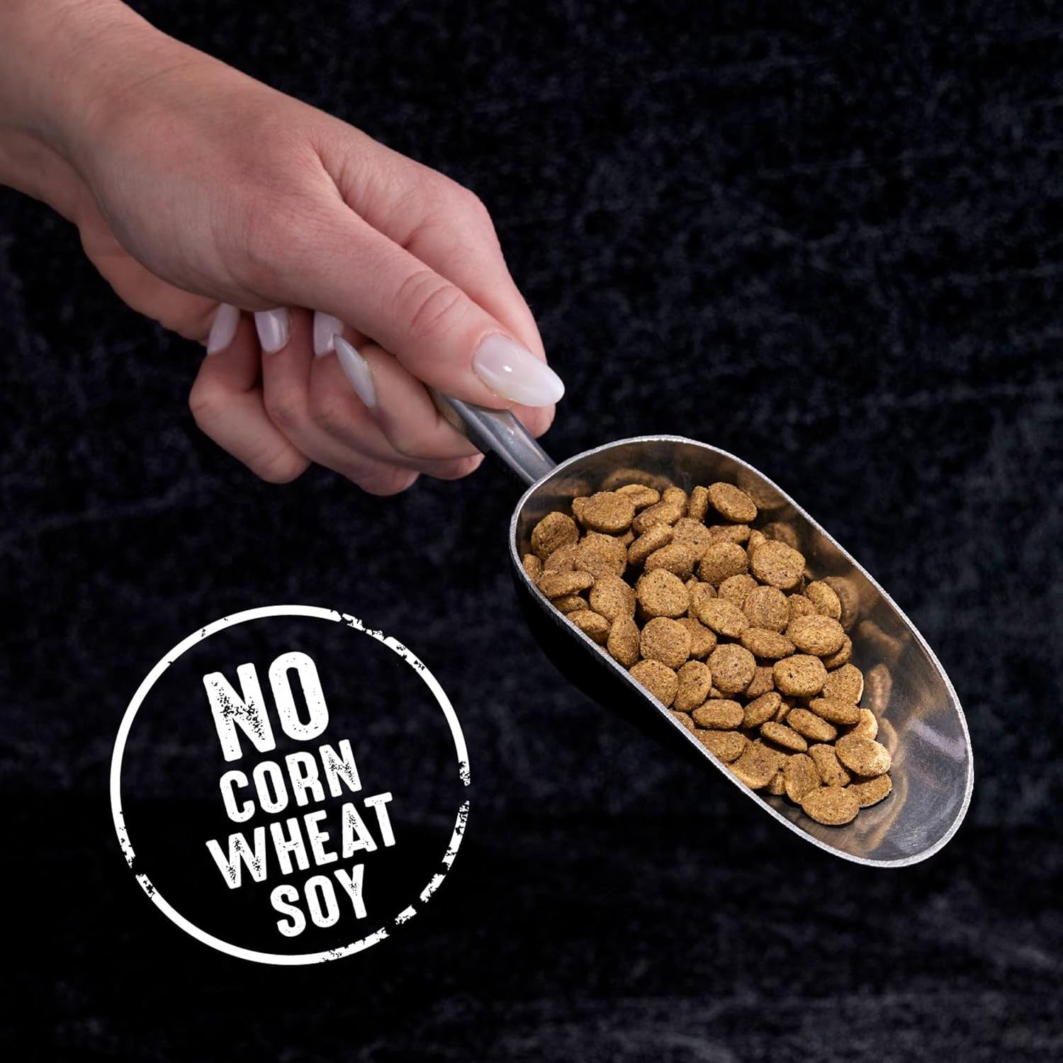 Grain Free Adult High Protein Natural Dry Cat Food with Protein from Salmon & Ocean Fish, 10 Lb. Bag