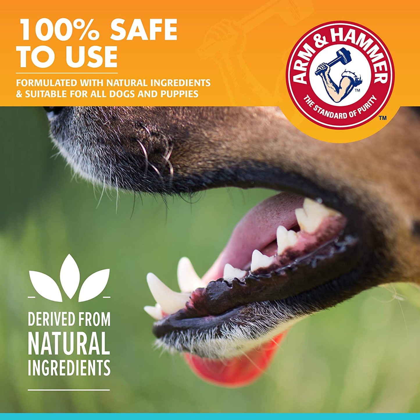 for Pets Dog Oral Care Spray - Fresh Breath & Teeth Cleaning Spray - Pet Breath Freshener - Reduce Plaque & Tartar Buildup - Healthy Mouth Hygiene Solution for Dogs - Mint Flavor, 4 Oz