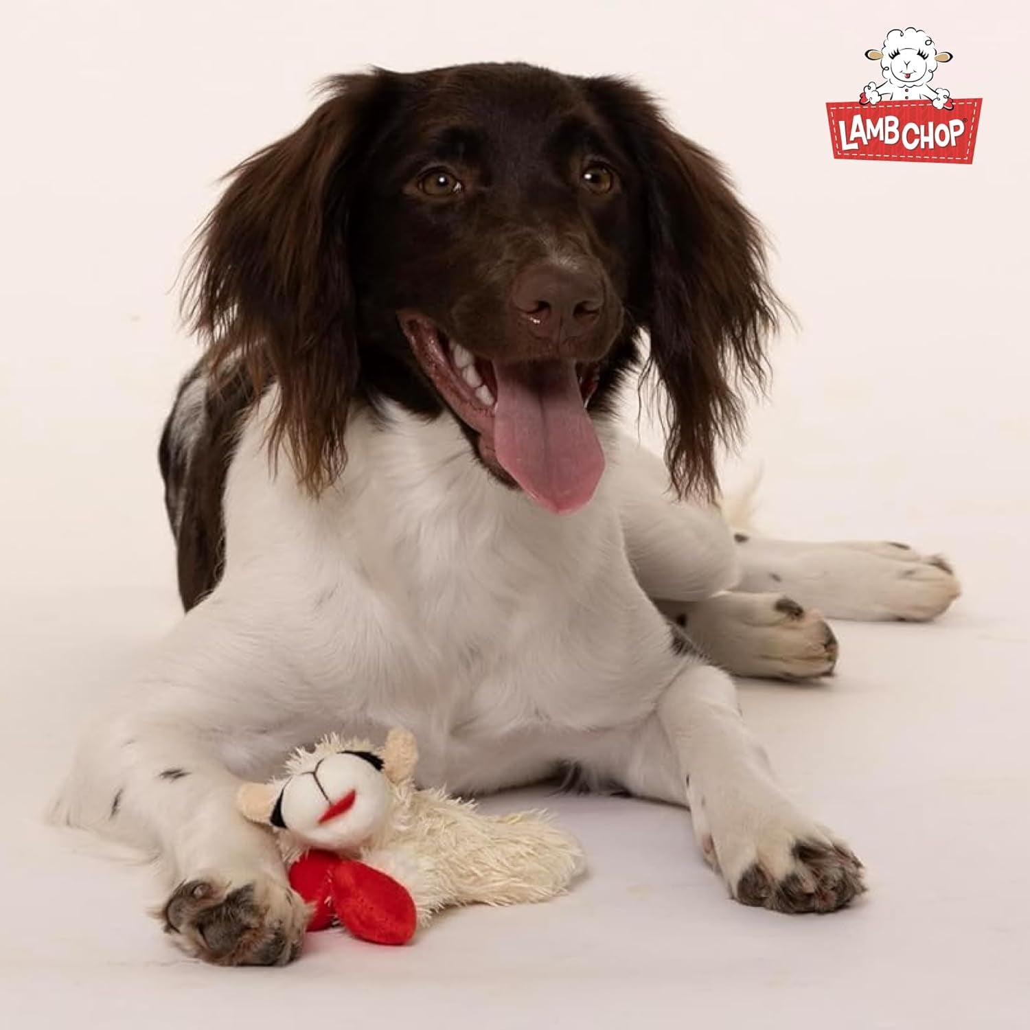 Lamb Chop Dog Plush Toy - Squeaky Toy for All Dogs - Extra Soft Plush - Stuffed Animal Dog Toy for Cuddling & Playing - Cute Pet Toy (6", Cream)