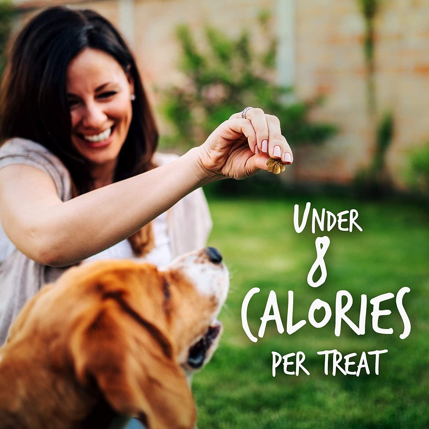 Baked Dog Treats, Healthy Pumpkin Treat for Dogs, Low Calorie & Delicious, Free of Wheat, Corn and Soy, Made in the USA, Pumpkin and Apple Flavor, 7Oz