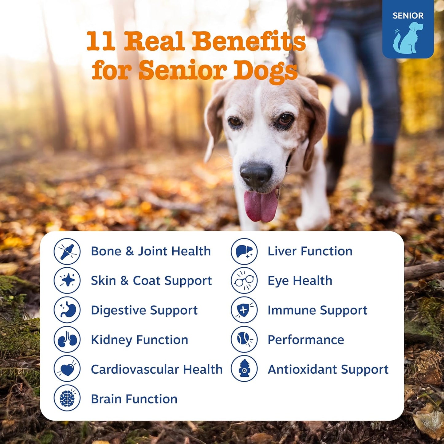 Senior Dog Multivitamin Treats - Glucosamine for Dogs + Digestive Enzymes & Probiotics - Grain Free Dog Vitamins and Supplements for Skin & Coat + Immune Health Beef - Advanced - 90Ct