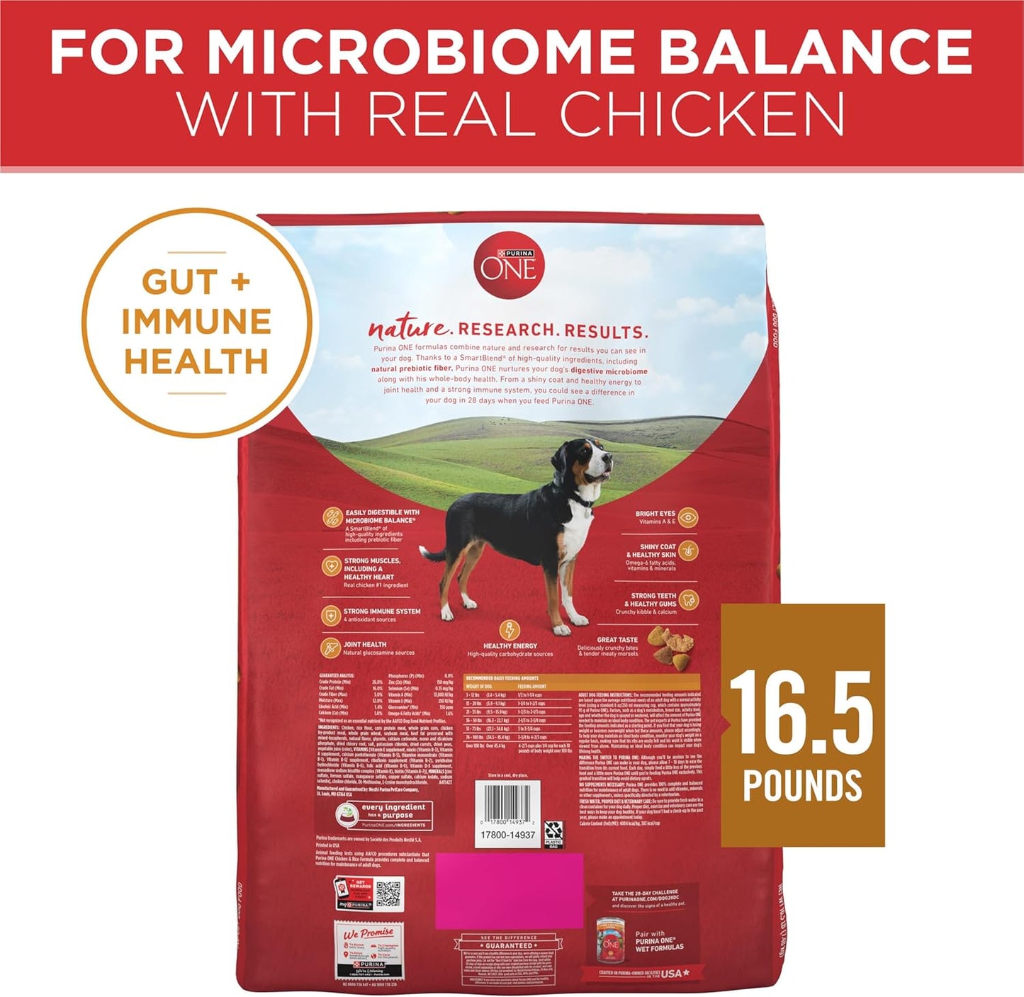 Chicken and Rice Formula Dry Dog Food - 16.5 Lb. Bag