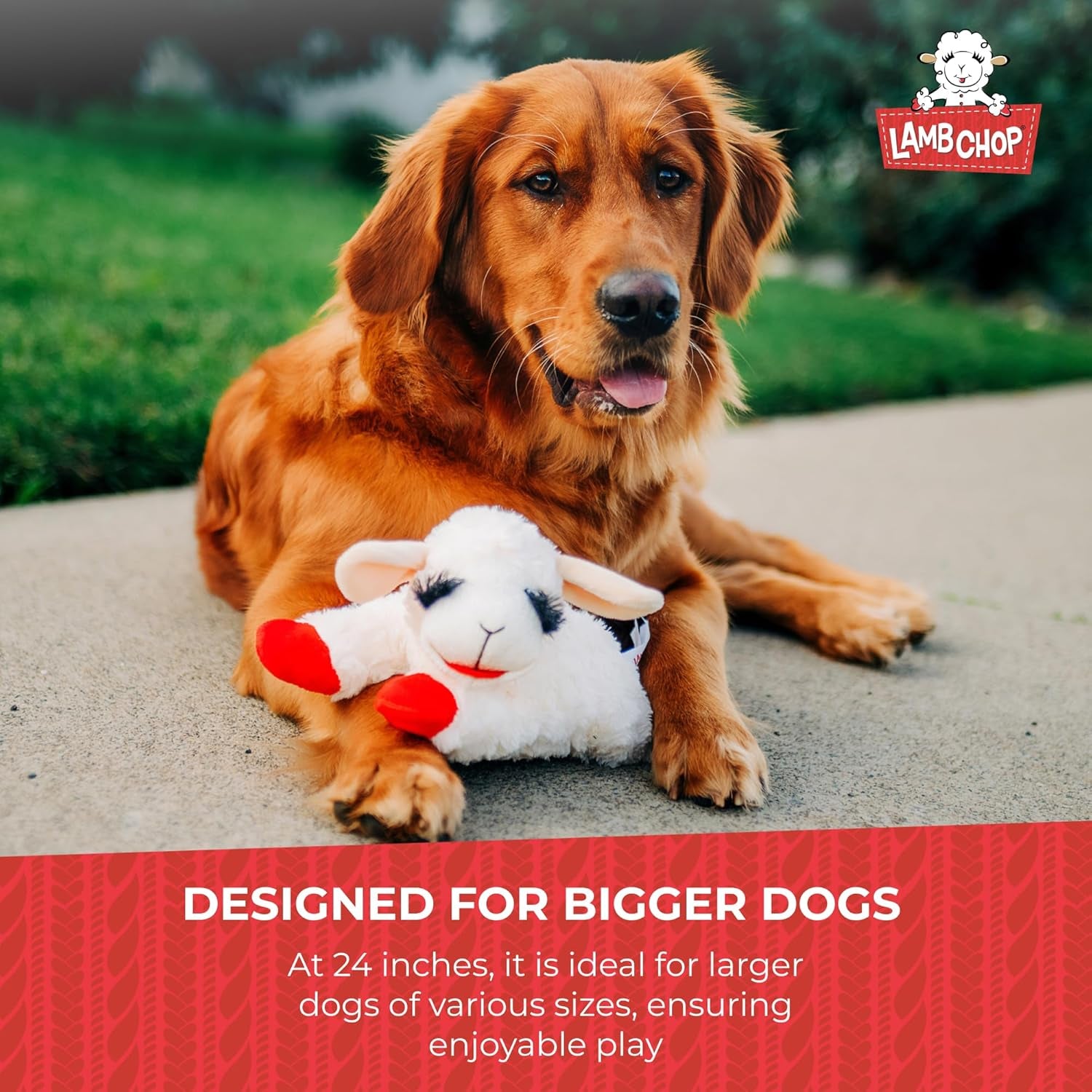 Lamb Chop Dog Plush Toy - Squeaky Toy for All Dogs - Extra Soft Plush - Stuffed Animal Dog Toy for Cuddling & Playing - Jumbo Pet Toy (24", Cream)