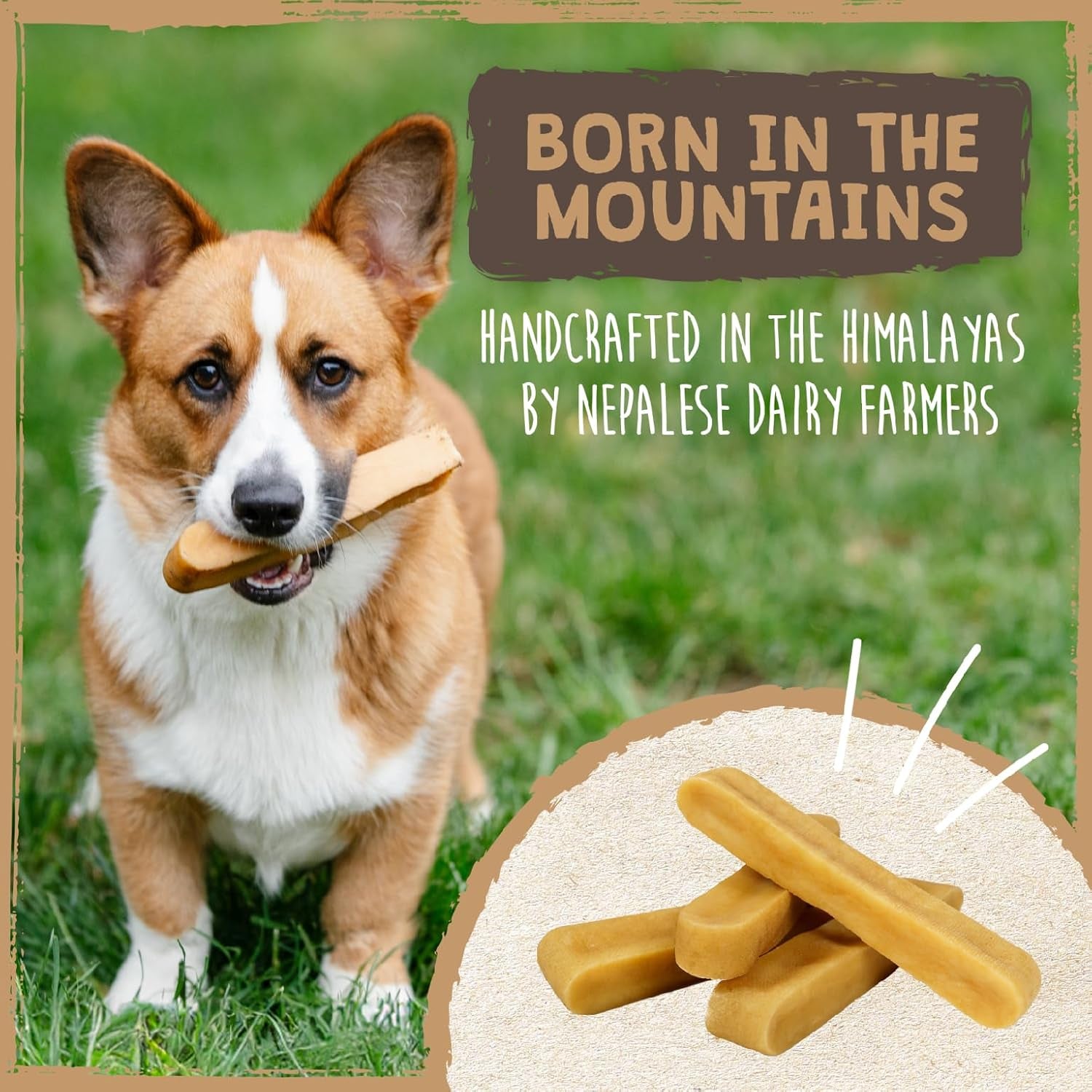 Yak Cheese Chews for Dogs - All-Natural Long Lasting Pet Treats - Odorless Limited-Ingredient Chews for Puppies & Power-Chewers (Medium, 4 Pack)