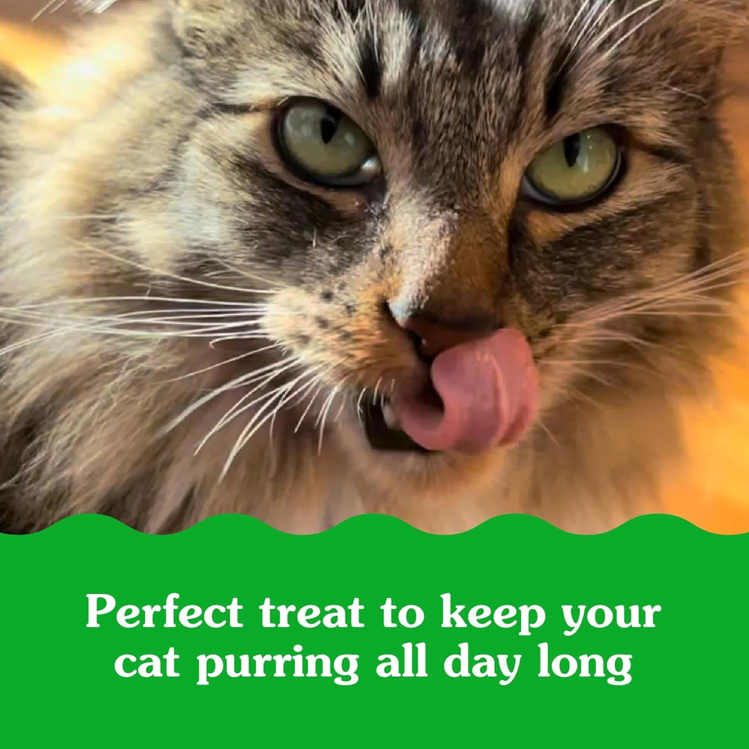 Feline Smartbites Skin & Fur Health Crunchy and Soft Cat Treats, Salmon Flavor, 4.6 Oz. Pack