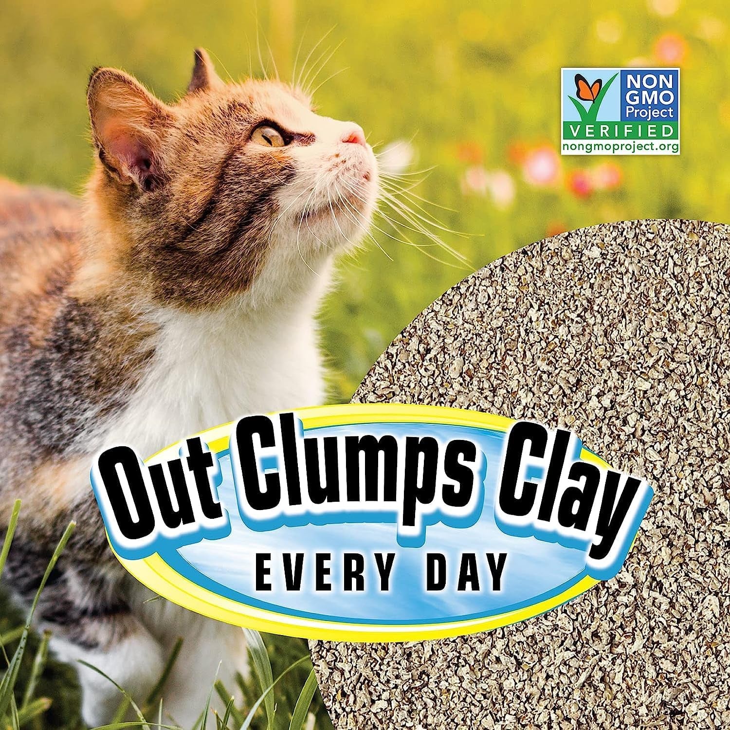 All Natural Clumping Cat Litter, 10 Pound (160Oz 1 Pack) - Alternative to Clay and Pellet Litter - Chemical and 99% Dust Free - Unscented and Lightweight