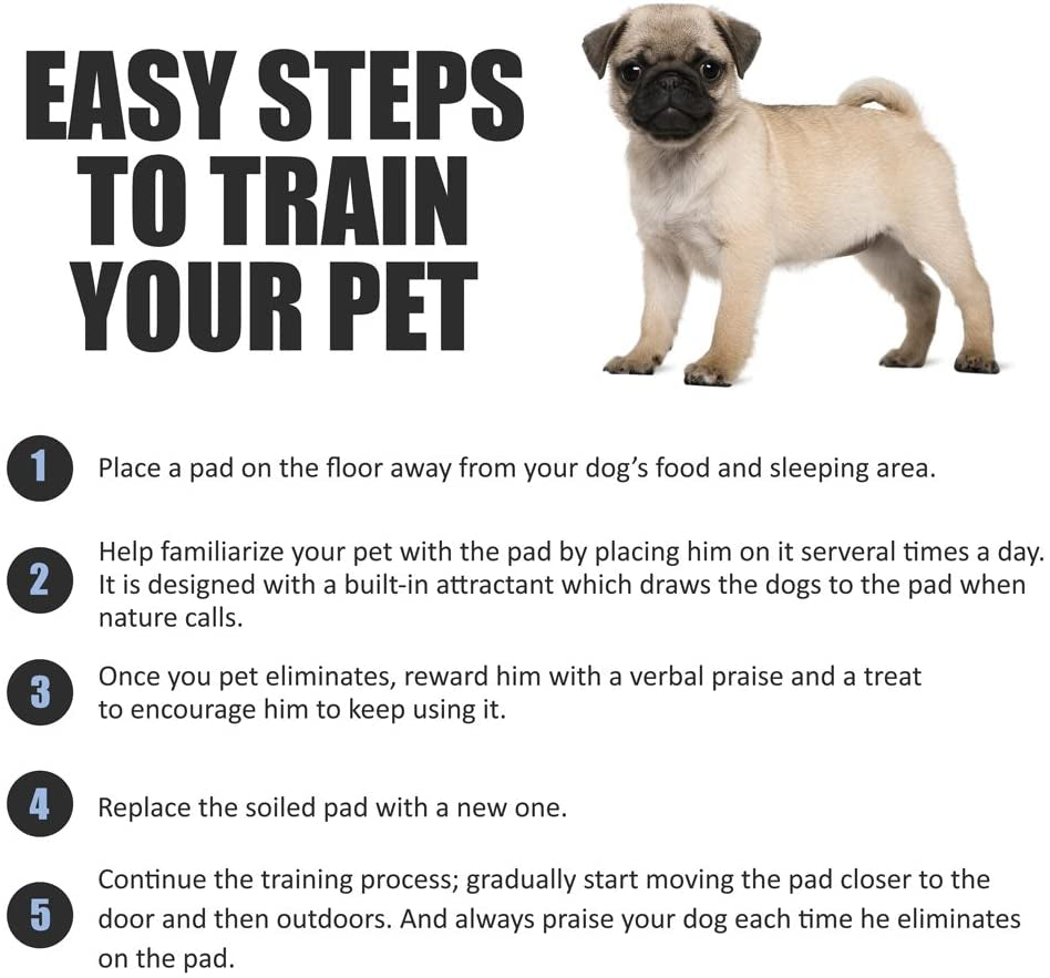 Puppy Pads Leak-Proof 100 Count 22"X 22" - Absorbent Pee Pads for Dogs with 6-Layer Design, Rapid Dry Sheet & Built-In Attractant - Dog Pad with Odor Control, Perfect for Puppies & Senior Dogs