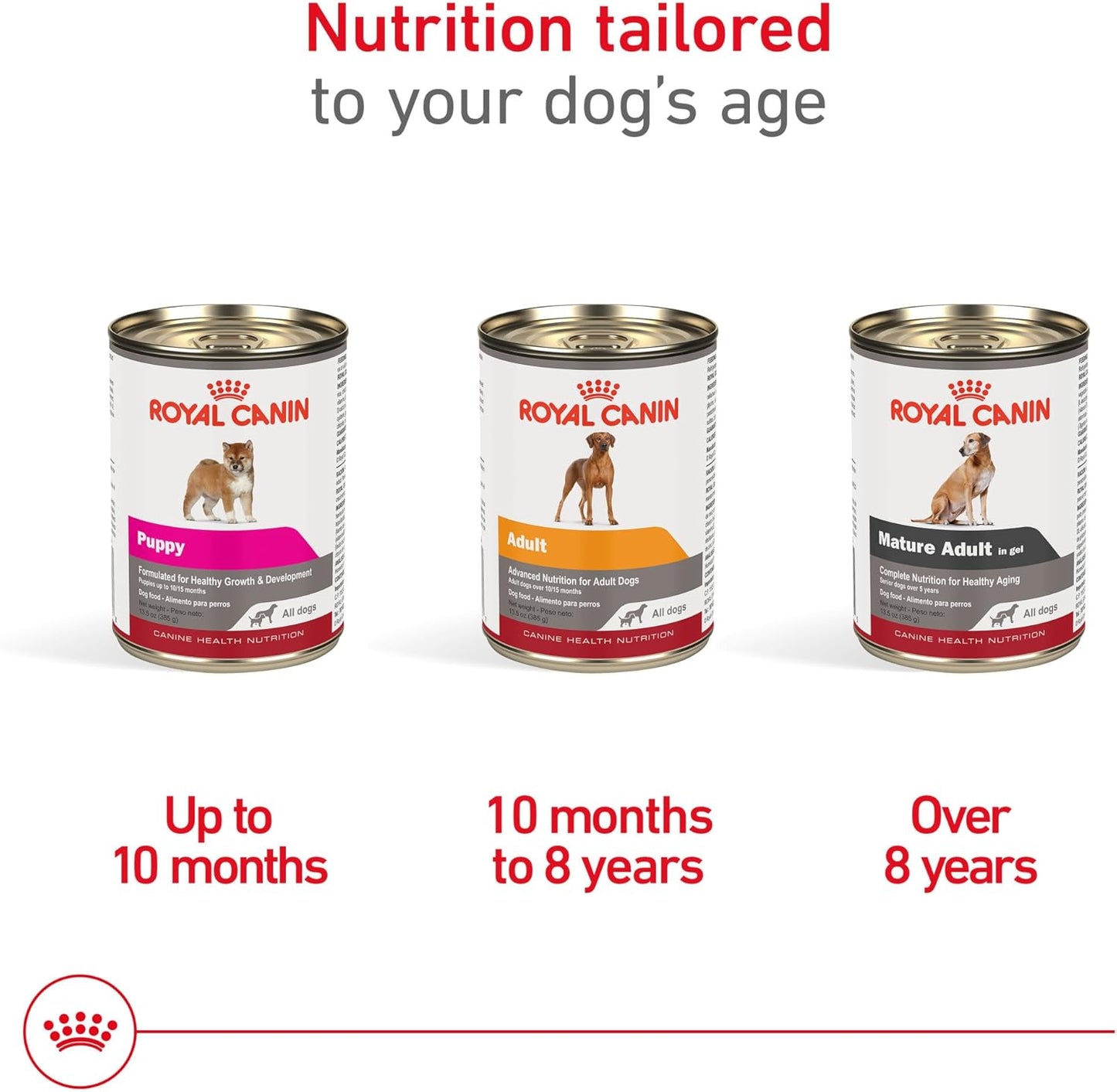 Canine Health Nutrition Adult in Gel Dog Food, 13.5 Oz (Pack of 12)