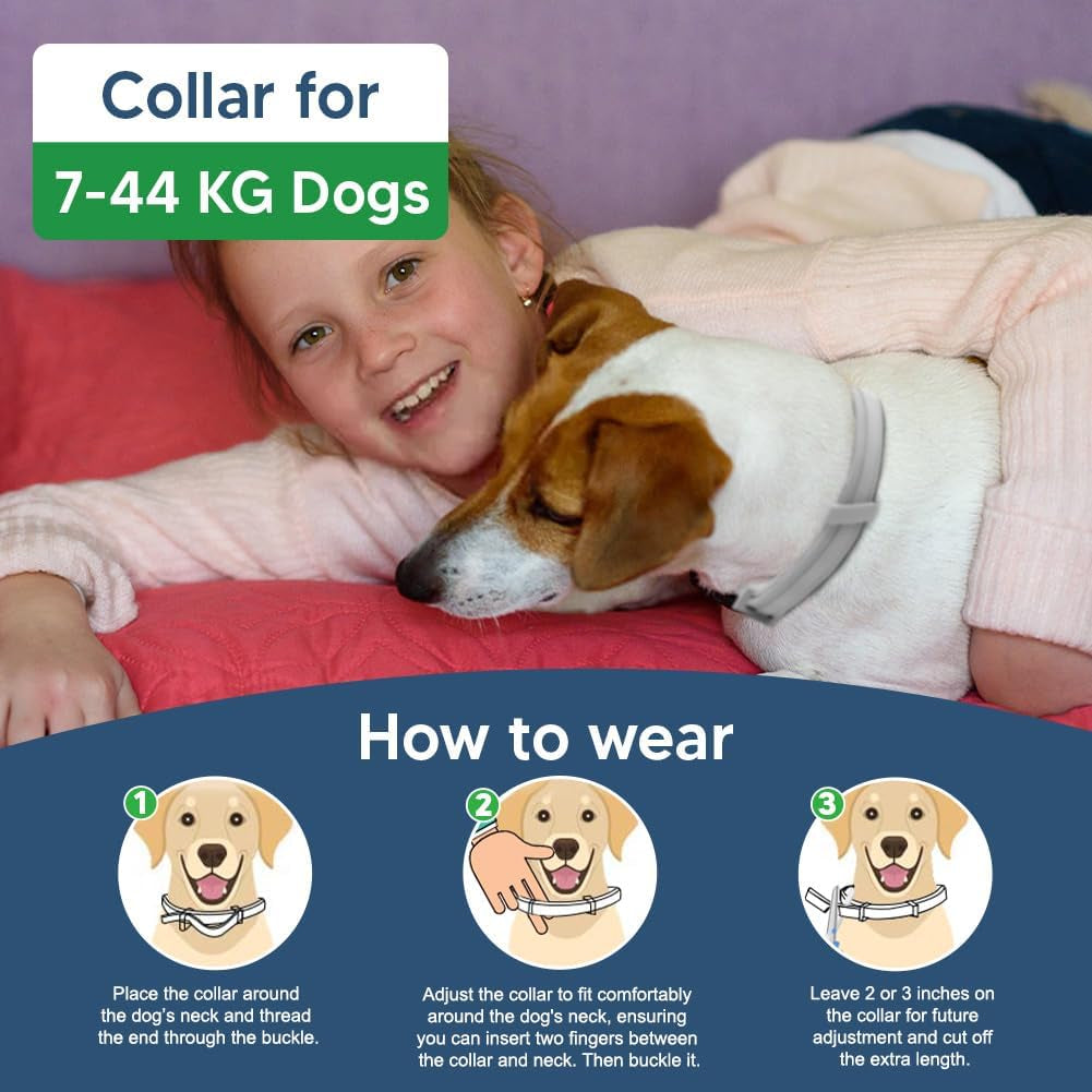 Flea Collar Dogs, Tick Collars for Dogs, Flea and Ticks Collar for Dog, Adjustable, Suitable of Dog, 8 Months Protection, Naturally, Effectively-2P