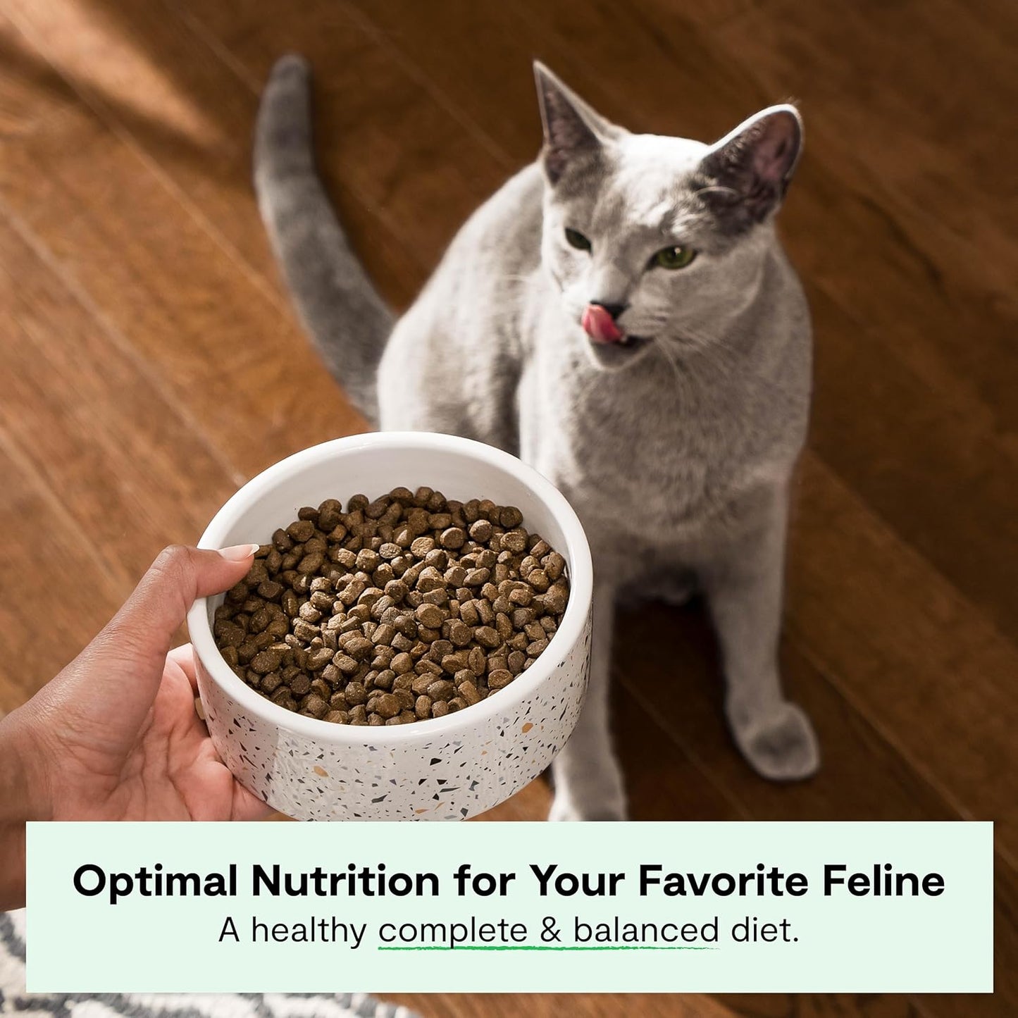 , Grain Free Dry Cat Food, High-Protein Kibble for a Complete & Balanced Diet, Non-Gmo Fruits & Vegetables, Prebiotic Fibers to Support Digestion, Homestead Turkey & Chicken Recipe, 8Lb Bag