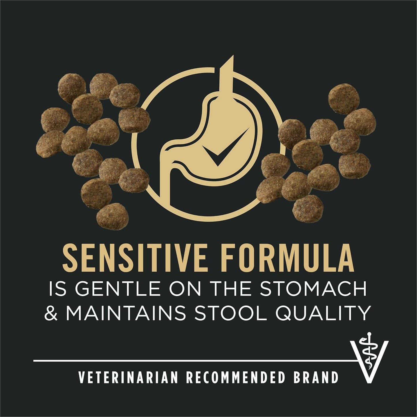 Sensitive Skin and Stomach Large Breed Puppy Food Salmon and Rice Formula - 24 Lb. Bag