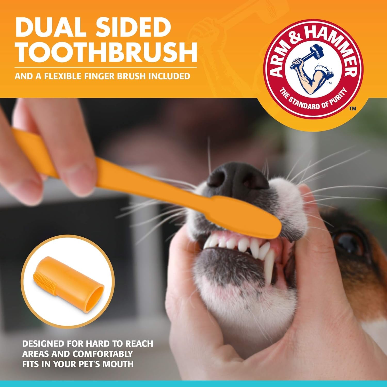 for Pets Fresh Breath Enzymatic Dog Dental Care Kit - Includes Dog Toothpaste, Dual Sided Toothbrush and Fingerbrush - Bad Breath Treatment, Chicken Flavor, 2.5 Ounce