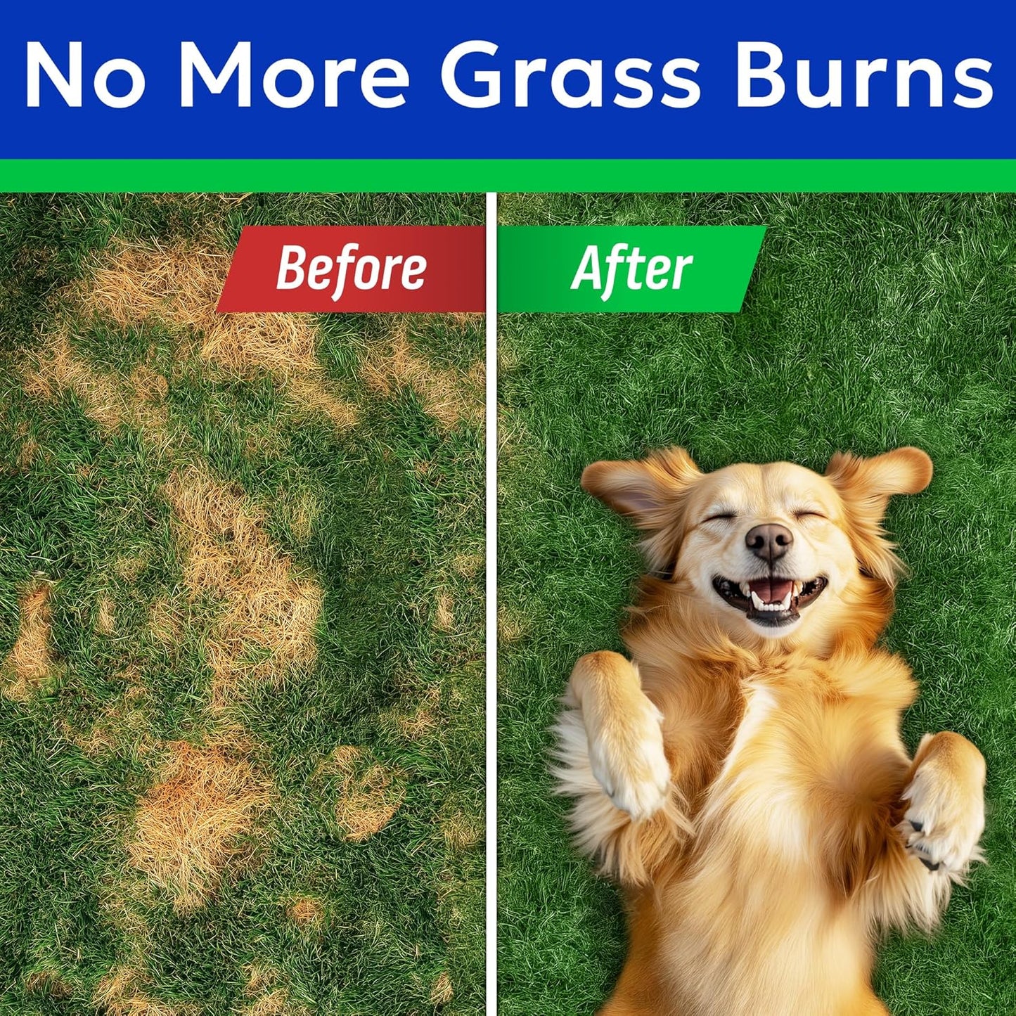 Green Grass Chews - Dog Pee Grass Spot Saver Caused by Dog Urine - Urine Neutralizer for Lawn, Gut Health Probiotics & Enzymes, Lawn Burn from Pee, Grass Burn Spot Chews Rocks