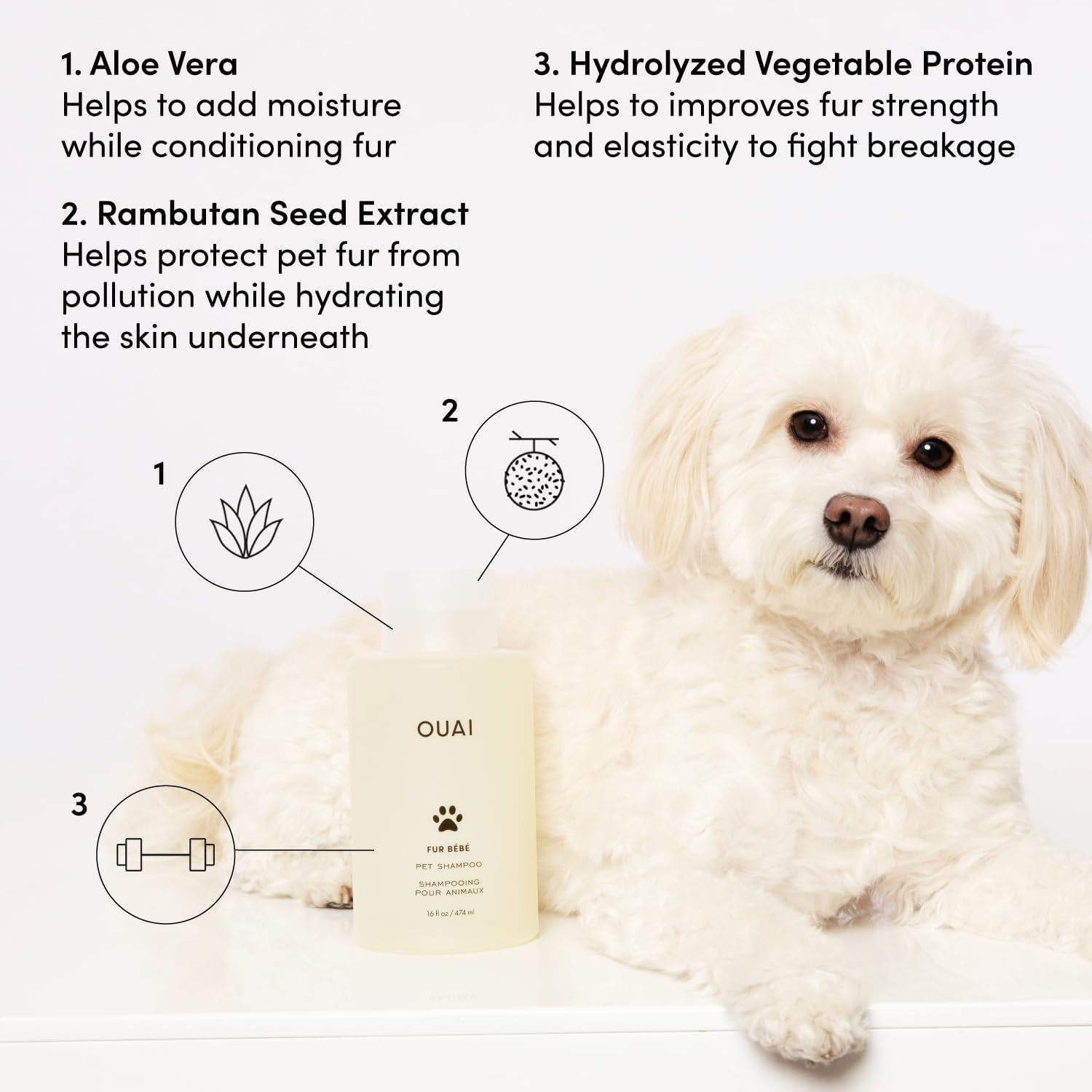 Fur Bébé Pet Shampoo, Mercer Street Scent - Dog Shampoo and Coat Wash for Hydrating, Cleansing and Adding Shine - Pet Supplies by  (16 Fl Oz)