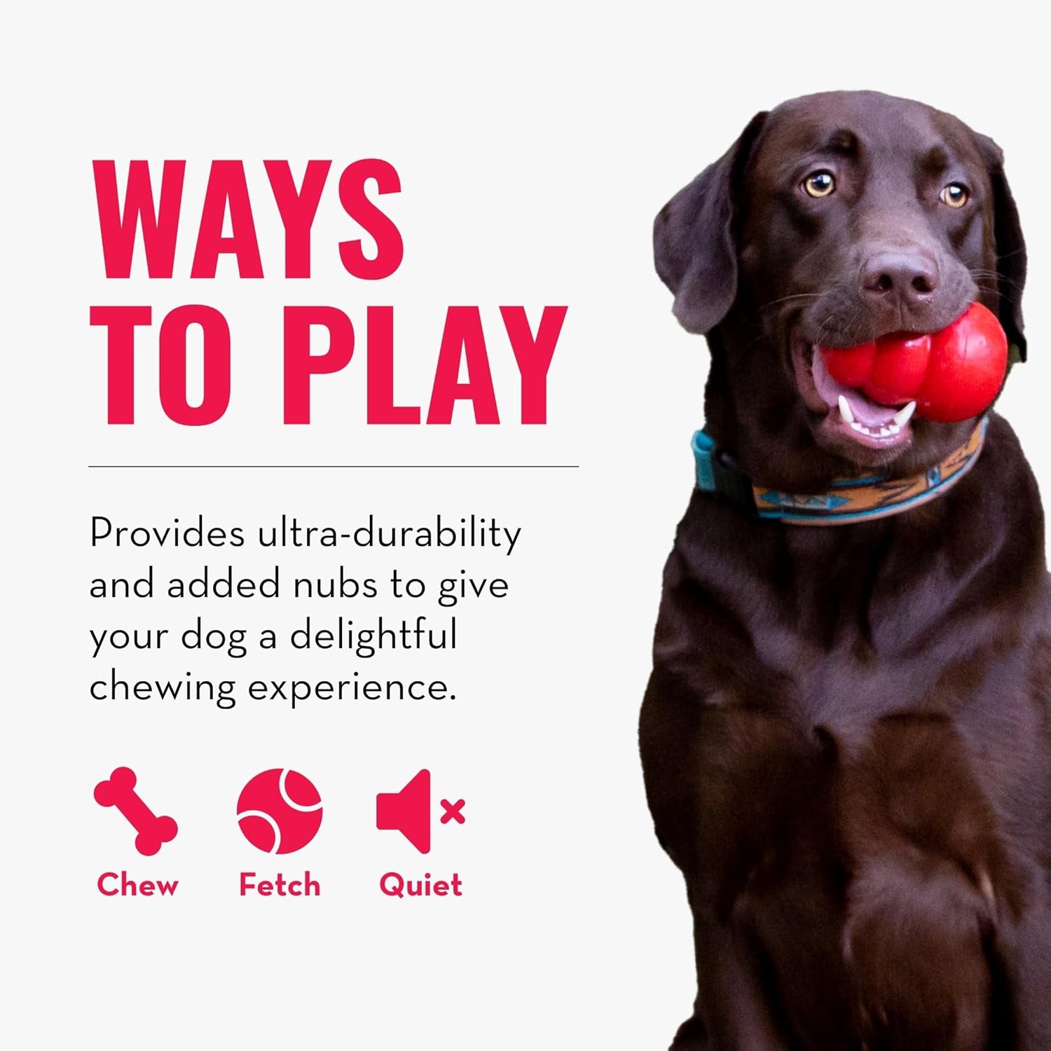 Ring - Natural Rubber Ring Toy for Healthy Chewing Habits - Chew Toy Supports Dog Dental Health - Dog Toy Supports Instincts during Playtime - for Small/Medium Dogs