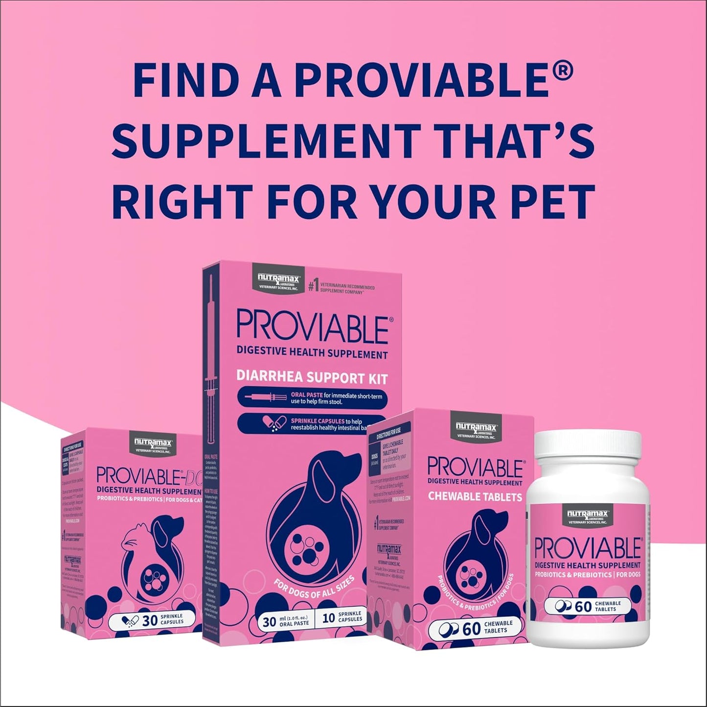 Nutramax Proviable Probiotics for Dogs, Daily Digestive Health Supplement with Multiple Strains of Bacteria, Dog Probiotics plus Prebiotics, 60 Chewable Tablets