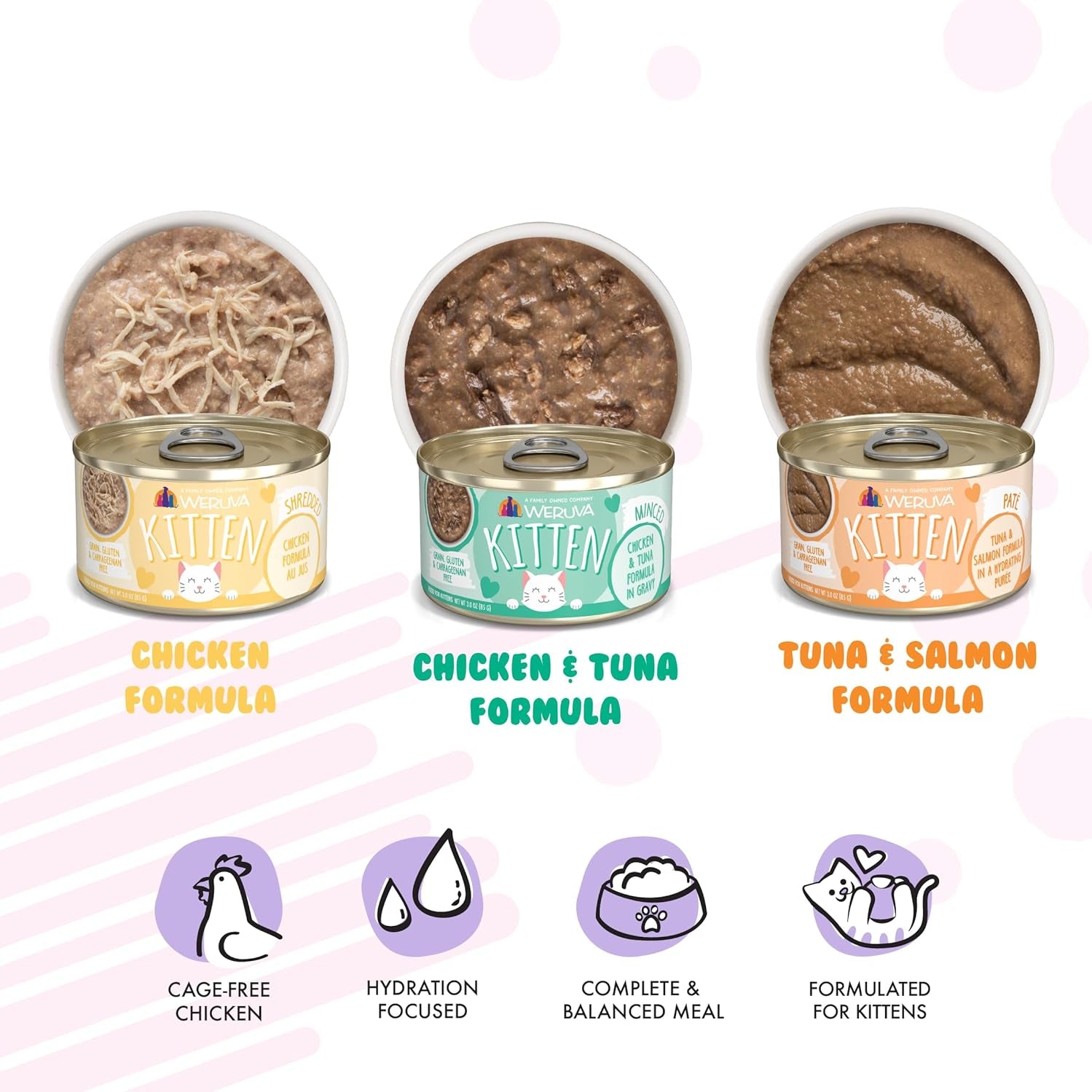 Kitten, Kitten Can Jam! Variety Pack, 3Oz Can (Pack of 12)