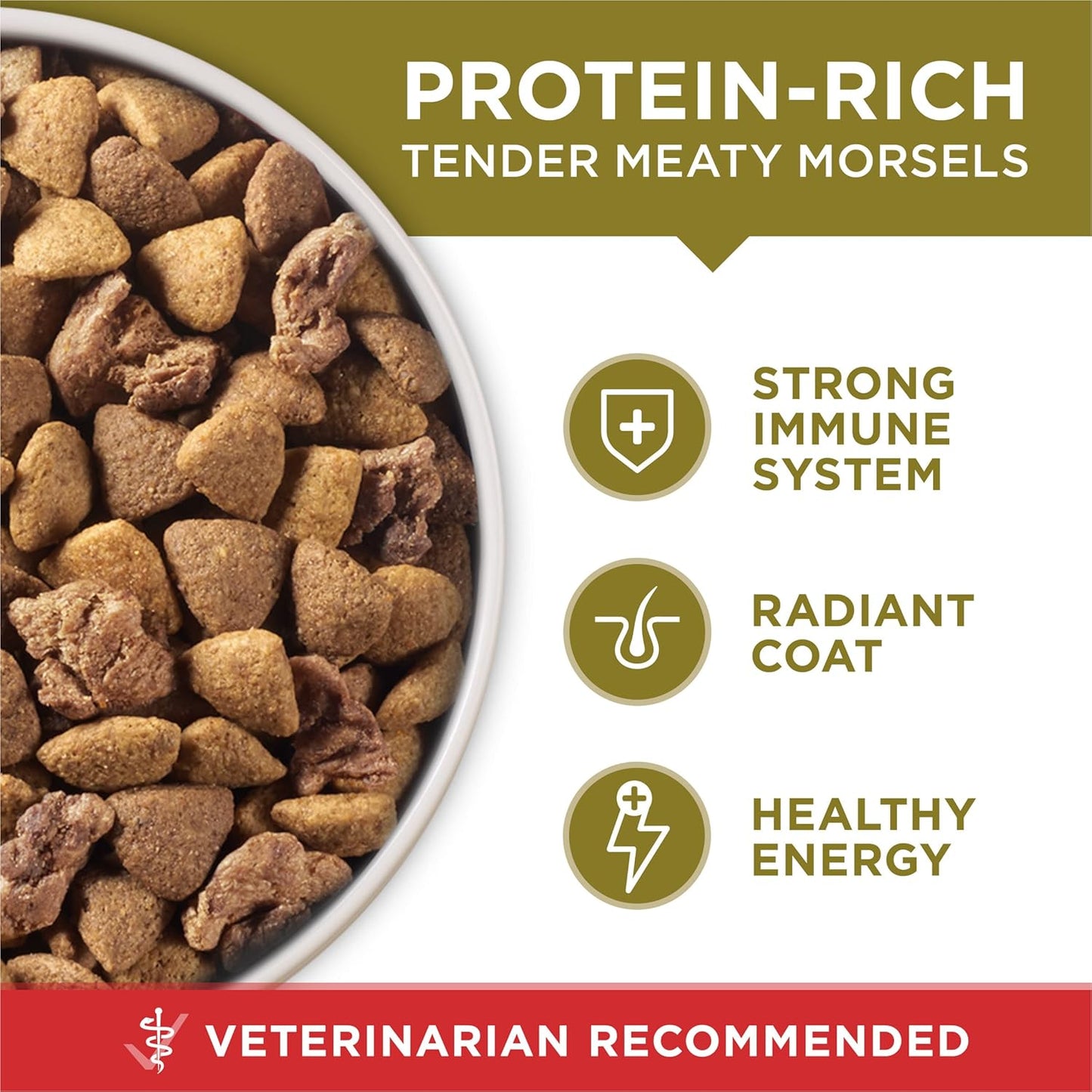 Dry Dog Food Lamb and Rice Formula - 8 Lb. Bag
