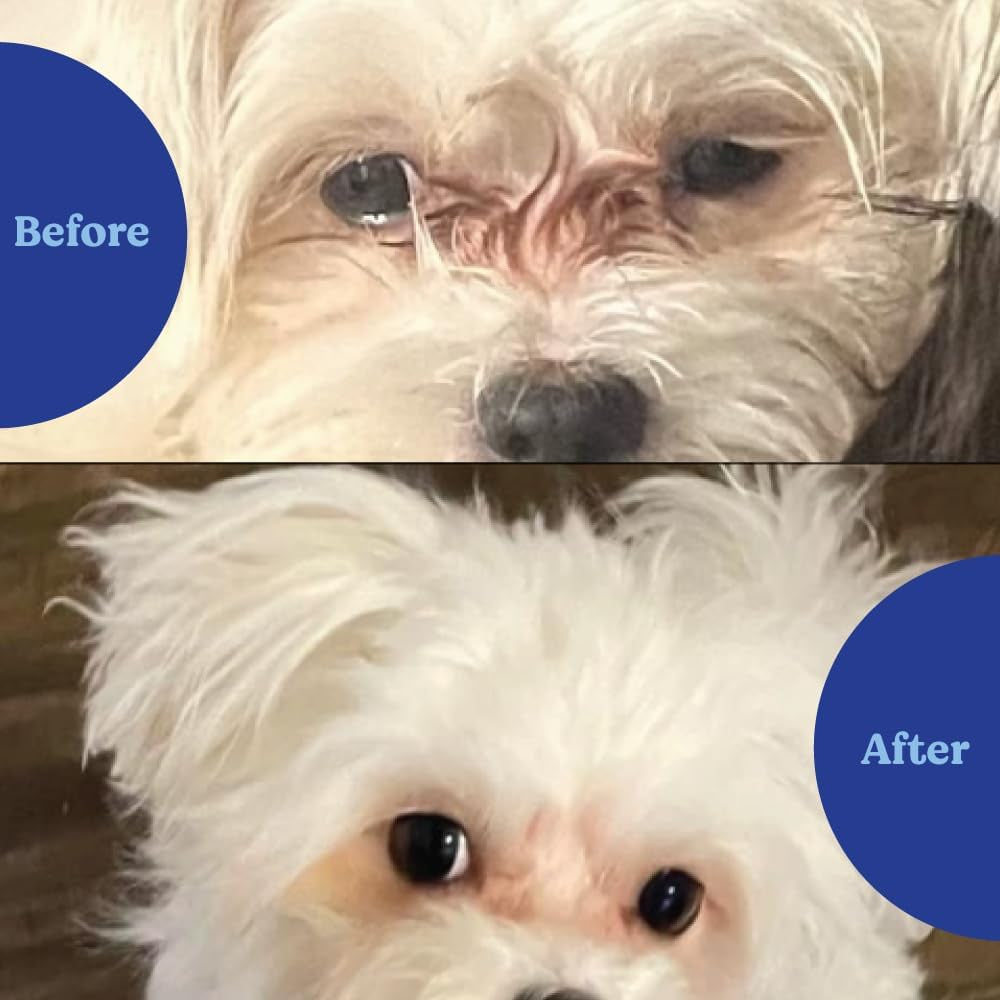 Natural Tear Stain Prevention Soft Chews for Dogs | Chicken Flavor| for All Breeds | No Wheat No Corn | Daily Supplement | Proprietary Formula