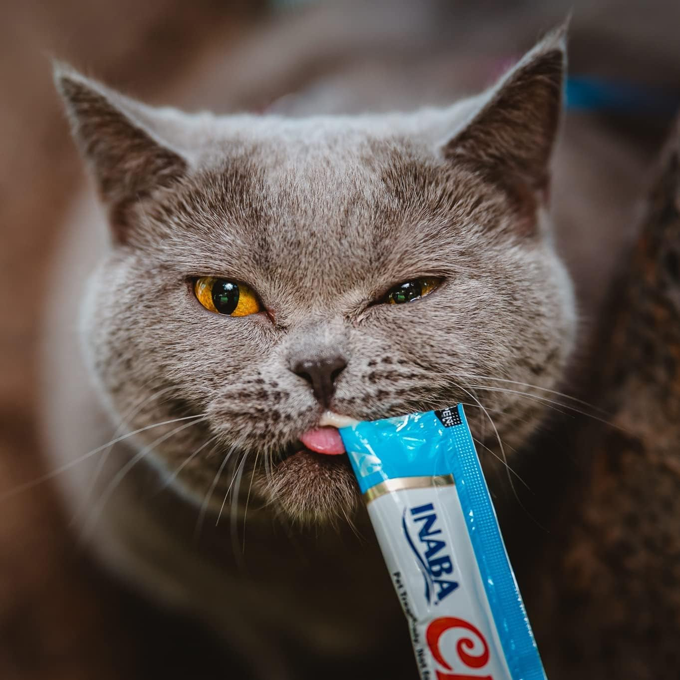 Churu Cat Treats, Grain-Free, Lickable, Squeezable Creamy Purée Cat Treat/Topper with Vitamin E & Taurine, 0.5 Ounces Each Tube, 50 Tubes, Tuna & Seafood Variety
