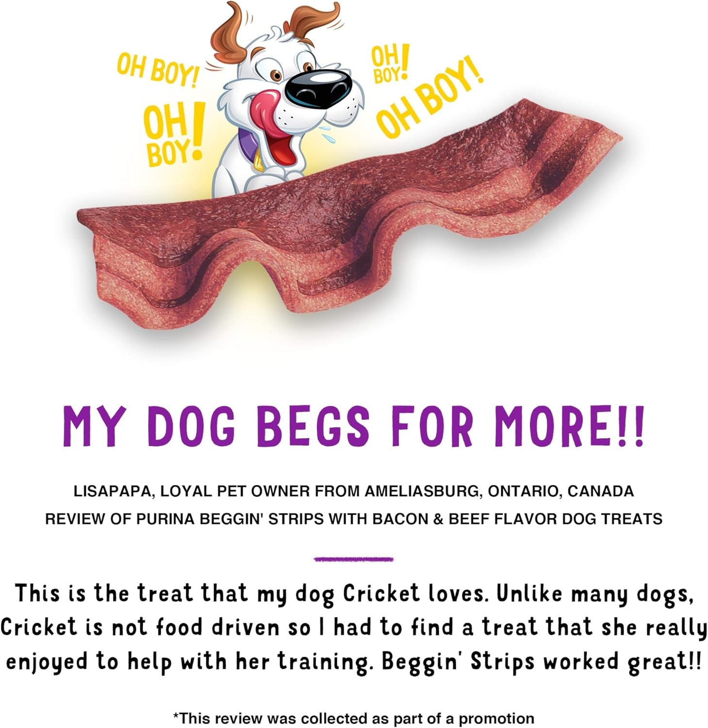 Strips with Real Meat Dog Treats with Bacon and Beef Flavors - (Pack of 2) 26 Oz. Pouches