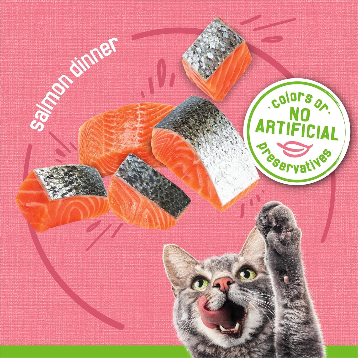 Purina  Wet Cat Food Pate, Pate Salmon Dinner - (Pack of 24) 5.5 Oz. Cans