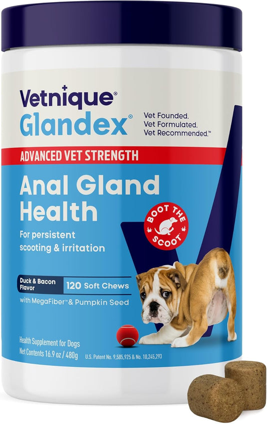 Glandex Anal Gland Soft Chew Treats with Pumpkin for Dogs Digestive Enzymes, Probiotics Fiber Supplement for Dogs Boot the Scoot (Advanced Strength Duck/Bacon Chews (Vegetarian), 120 Ct)