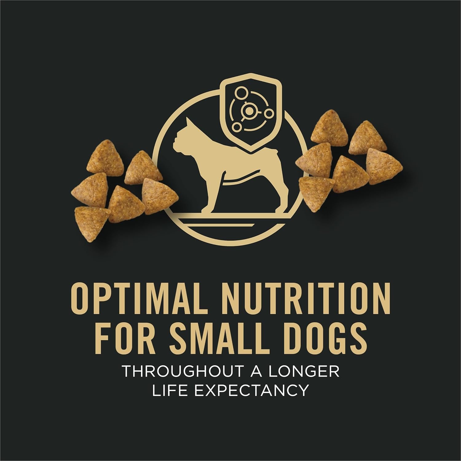 Small Breed Dry Dog Food Chicken and Rice Formula with Guaranteed Live Probiotics - 6 Lb. Bag