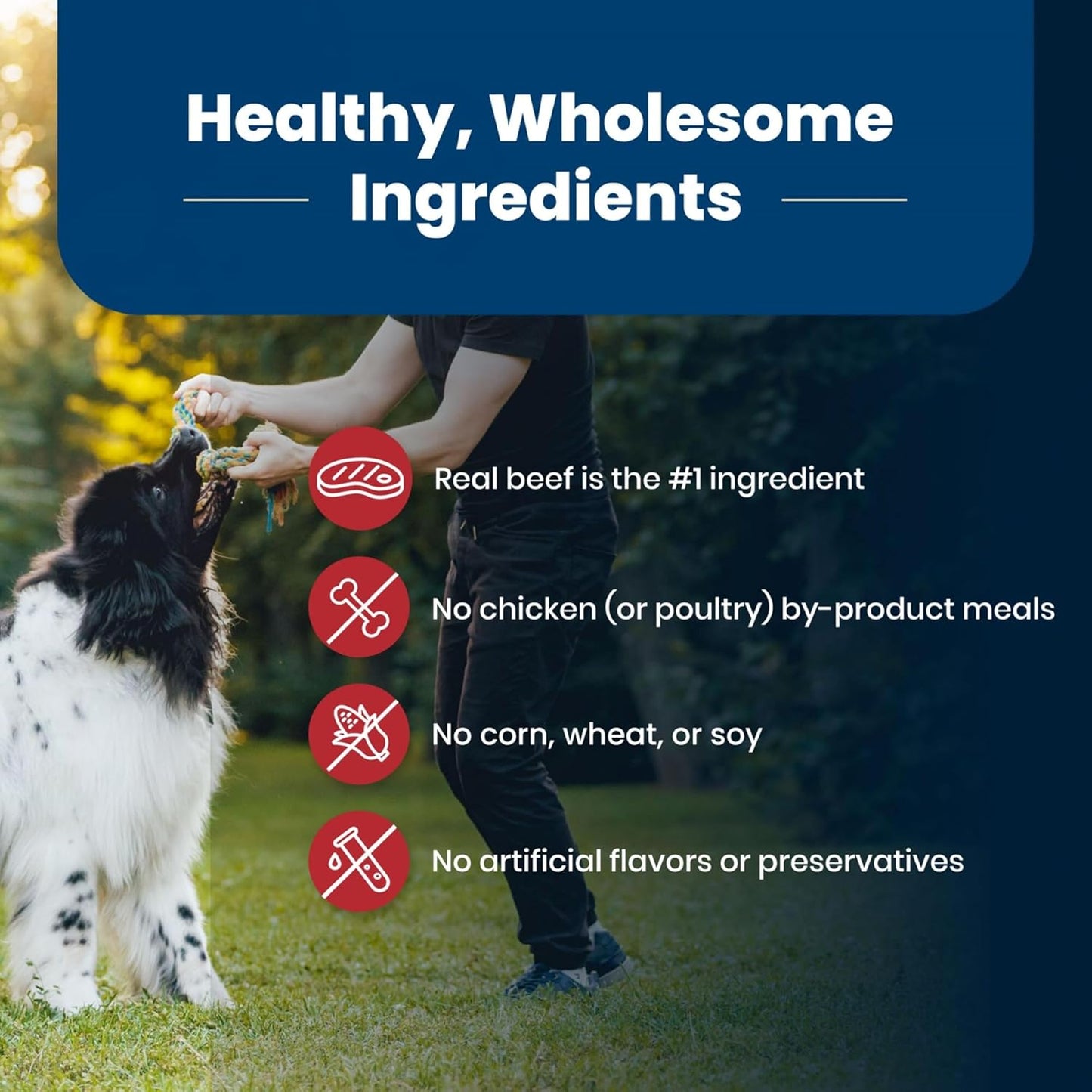 Life Protection Formula Adult Dry Dog Food, Helps Build and Maintain Strong Muscles, Made with Natural Ingredients, Beef & Brown Rice Recipe, 15-Lb. Bag