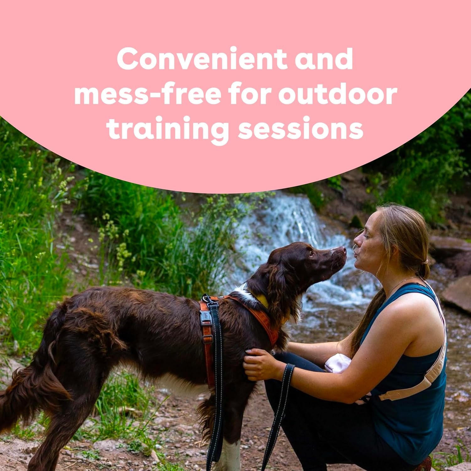 Freeze Dried Training Treats for Dogs & Puppies, 475+ Two Ingredient Bites (Rabbit, 4 Oz)