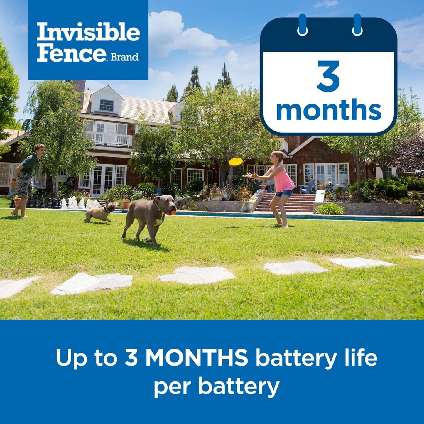 Power Cap Battery - Original IFB Electric Fence Battery Replacement for Dog Collars - Long-Lasting - 1 Pack