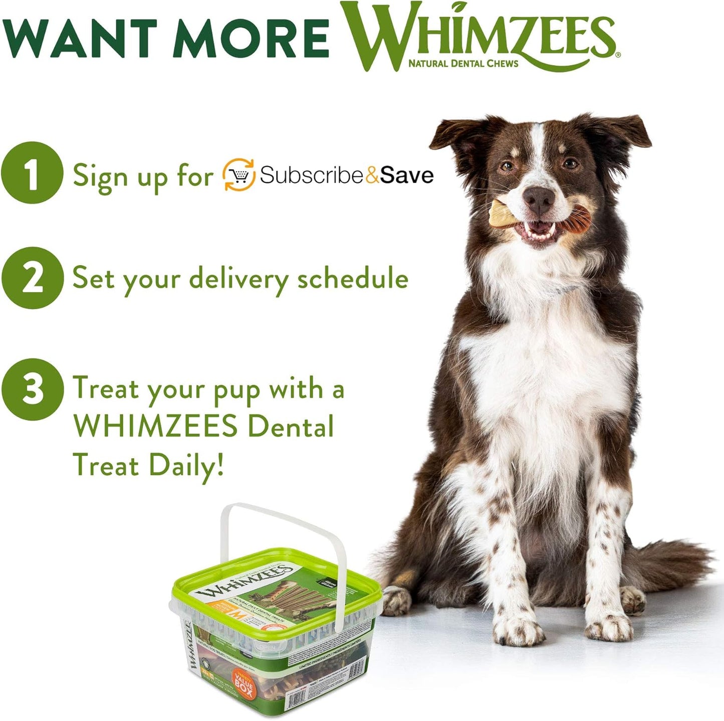 Wellness Variety Pack Dog Dental Treats, Natural Chews, Medium Size, (28 Count)
