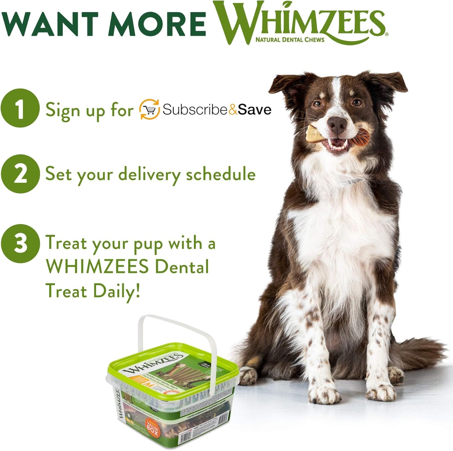 Wellness Variety Pack Dog Dental Treats, Natural Chews, Medium Size, (28 Count)