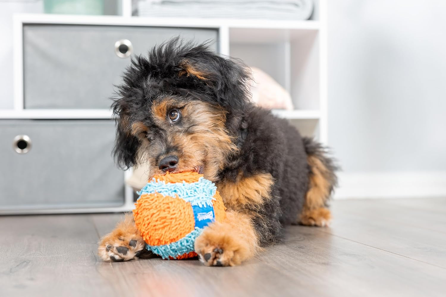 Indoor Fetch Ball Dog Toy for Dogs - Interactive Dog Toys for Boredom, 4.75 Inch, Orange and Blue