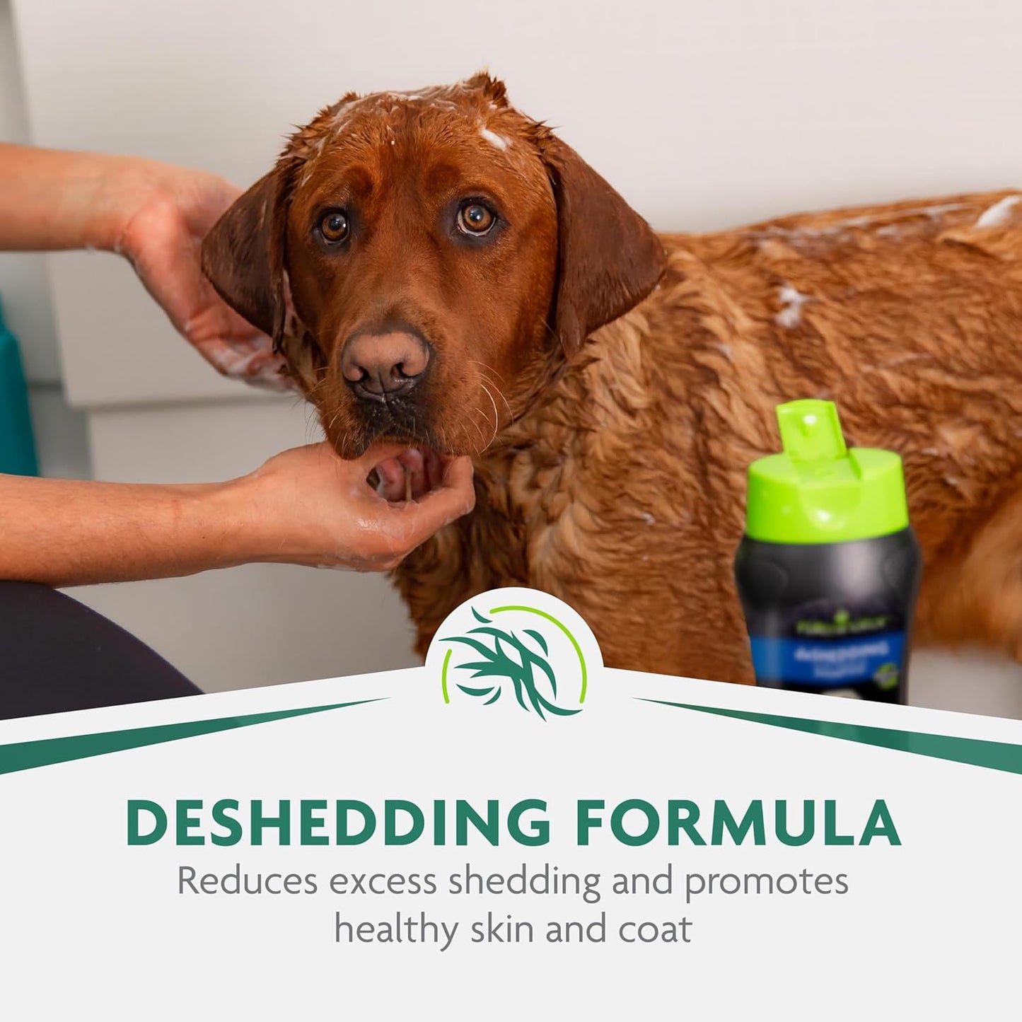 Ultra Premium Deshedding Shampoo for Dogs Helps Reduce Excess Shedding, 16 Oz