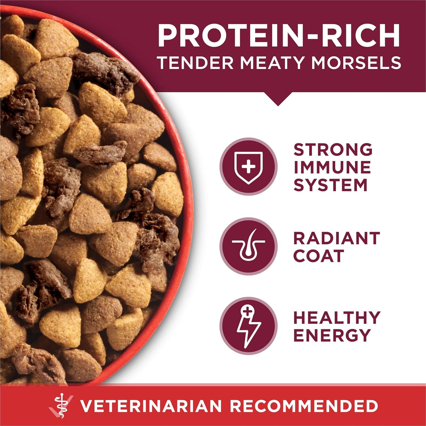 Small Bites Beef and Rice Formula Small High Protein Dry Dog Food Natural with Added Vitamins, Minerals and Nutrients - 16.5 Lb. Bag