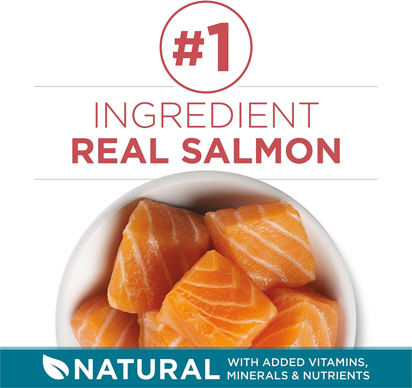 Natural Dry Cat Food, Tender Selects Blend with Real Salmon - 16 Lb. Bag