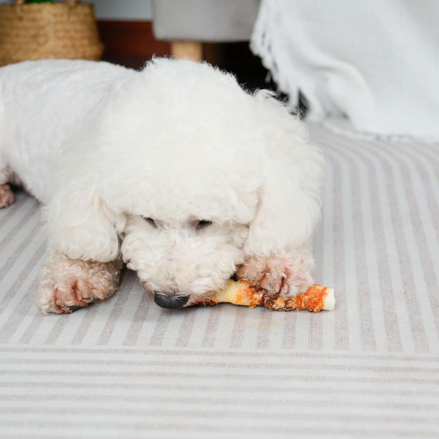 Dog Treats, Triple Flavor 6 Inch Chicken Liver Duck and Chicken Wrapped Rawhide Sticks, Teeth Cleaning Snacks for Medium Dogs, 17.6 Oz (10 Count-Pack of 1)