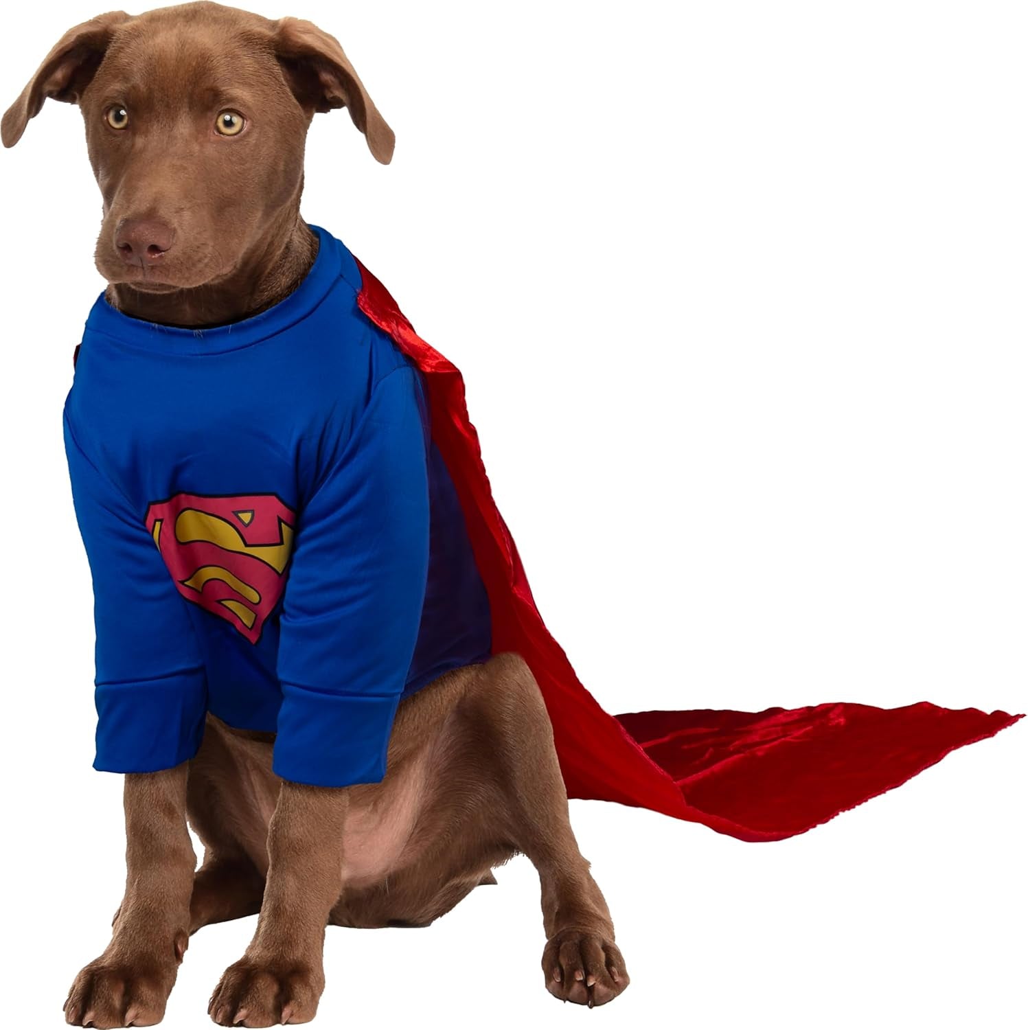 DC Comics Superheroes: Superman Pet Costume for for Dogs or Cats by , XXXL