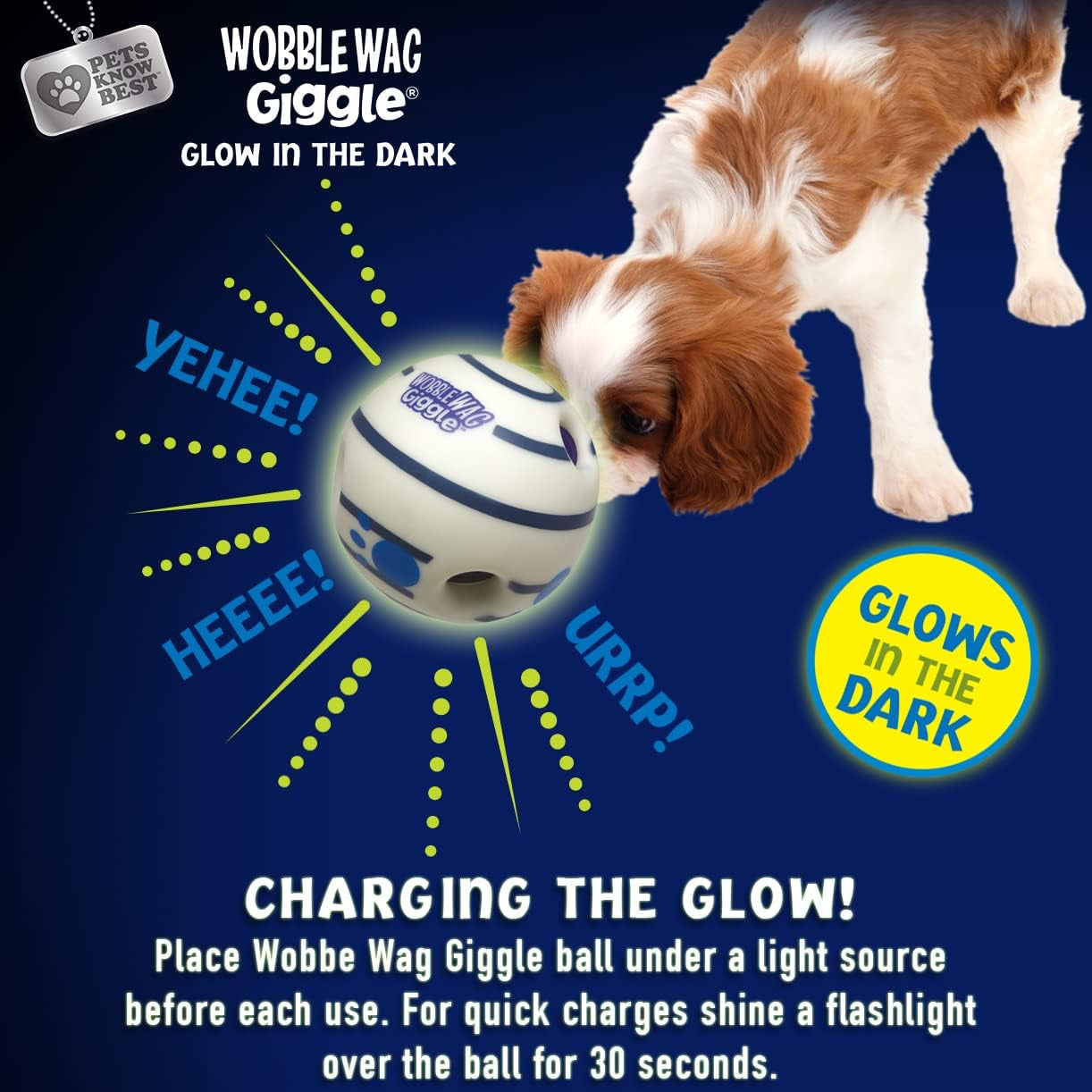 & Glow | Rolling Enrichment Toy for Fun Playtime, Interactive Play for Indoor or Outdoor, Keeps Dogs & Puppies Large, Medium or Small Busy & Moving, as Seen on TV | Pack of 2