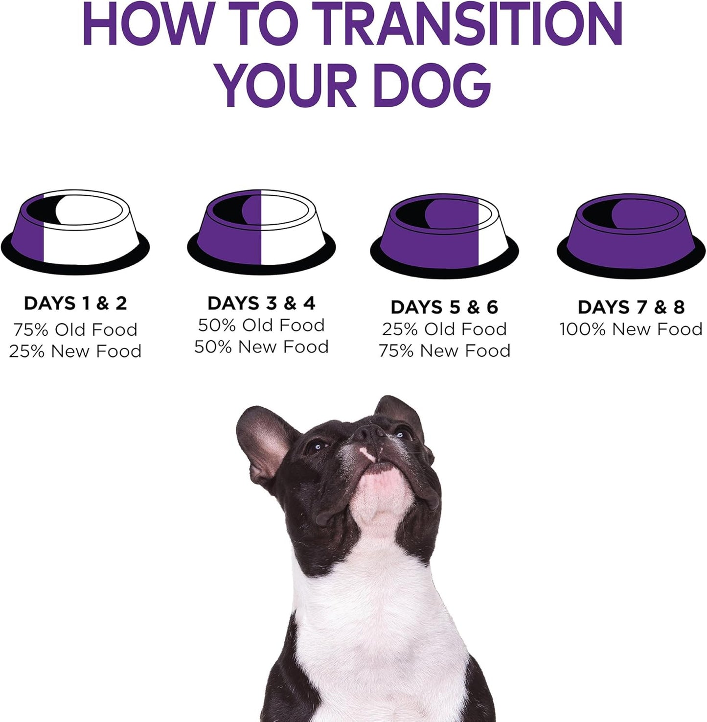 Complete Health Dry Dog Food with Grains, Natural Ingredients, Made in USA with Real Meat, All Breeds for Adult Dogs (Chicken & Oatmeal, 15-Pound Bag)