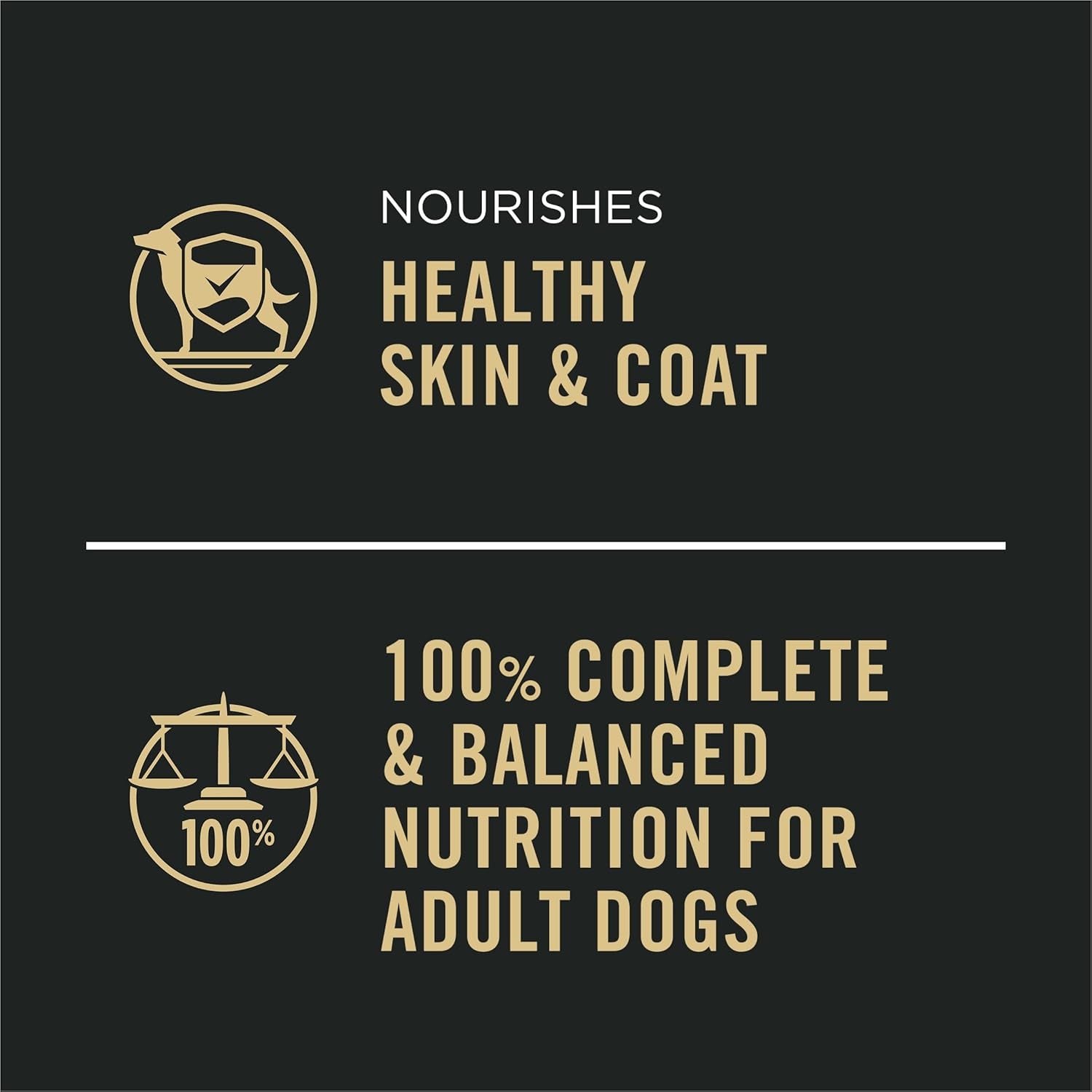 Complete Essentials Wet Dog Food Chicken and Rice Entree and Beef and Rice Entree Variety Pack - (Pack of 12) 13 Oz. Cans