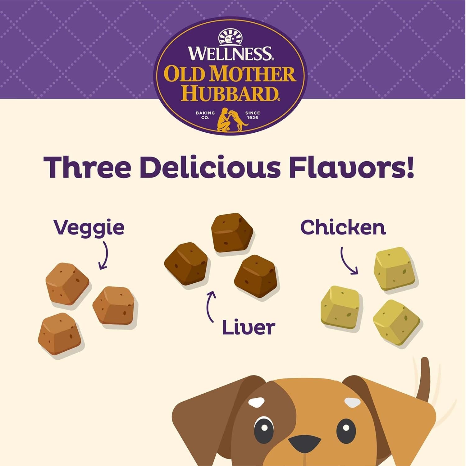 Wellness Training Bitz Assorted Mix Dog Biscuits, Natural, Training Treats, Three Flavors, Small Size, (8 Ounce Bag)