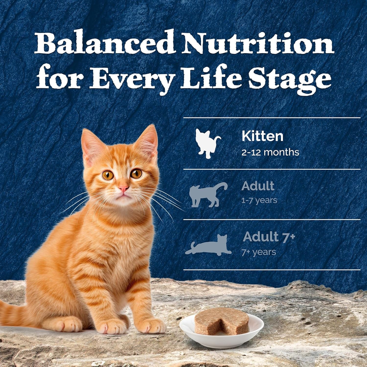 Wilderness High-Protein Grain-Free Wet Kitten Food, Chicken Paté Recipe, 3-Oz Cans, 24-Count